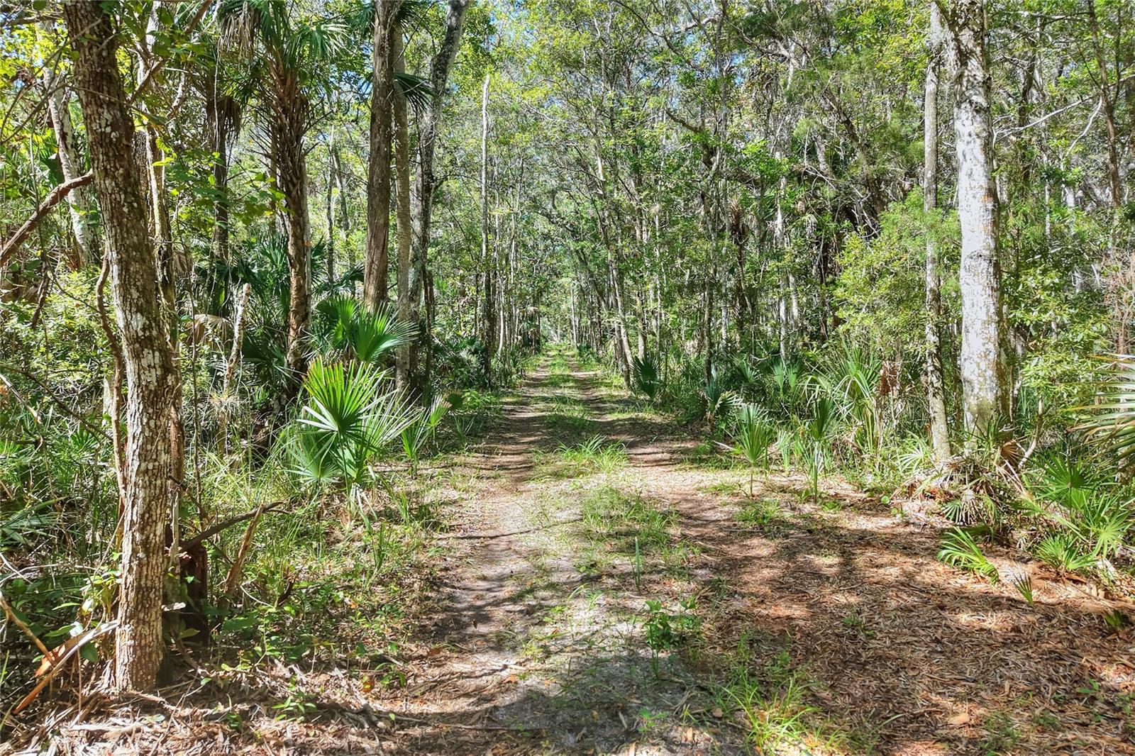 Image 9 of 32 For Pine Island Drive