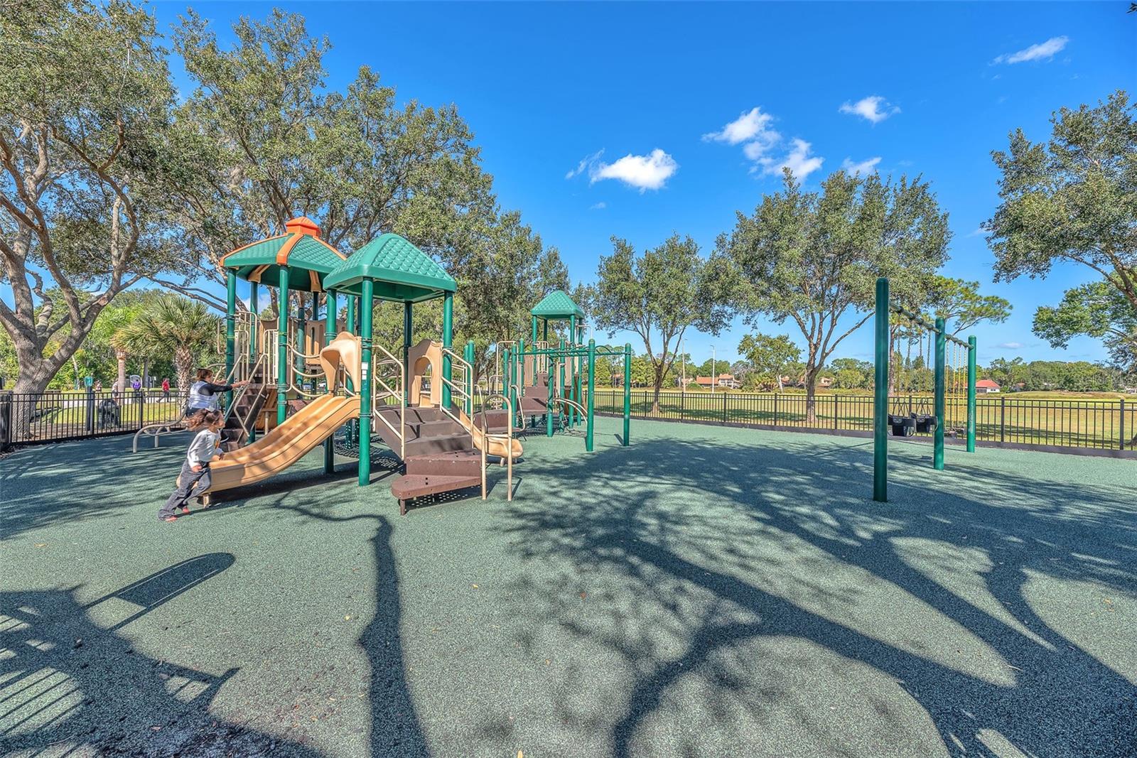 Image 43 of 69 For 1702 Horseshoe Drive