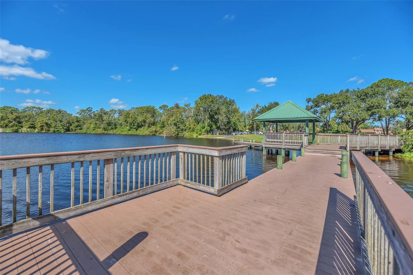 Image 47 of 69 For 1702 Horseshoe Drive