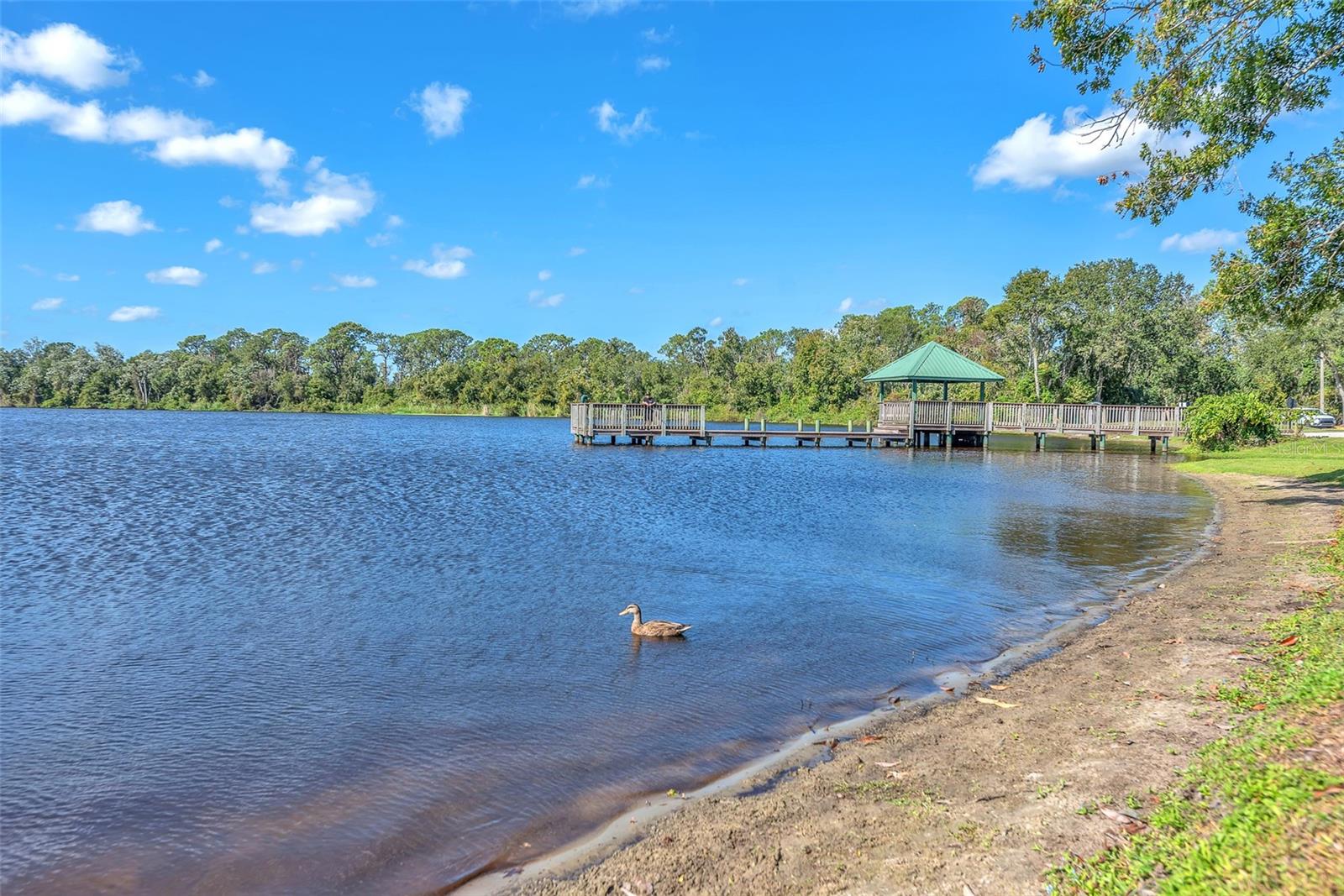 Image 51 of 69 For 1702 Horseshoe Drive