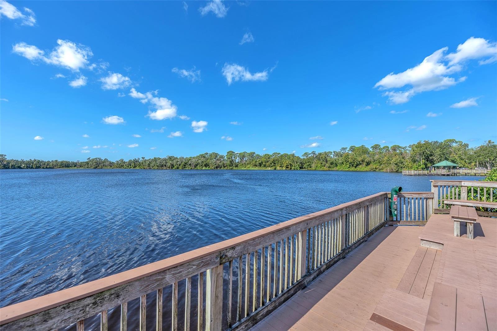 Image 64 of 69 For 1702 Horseshoe Drive