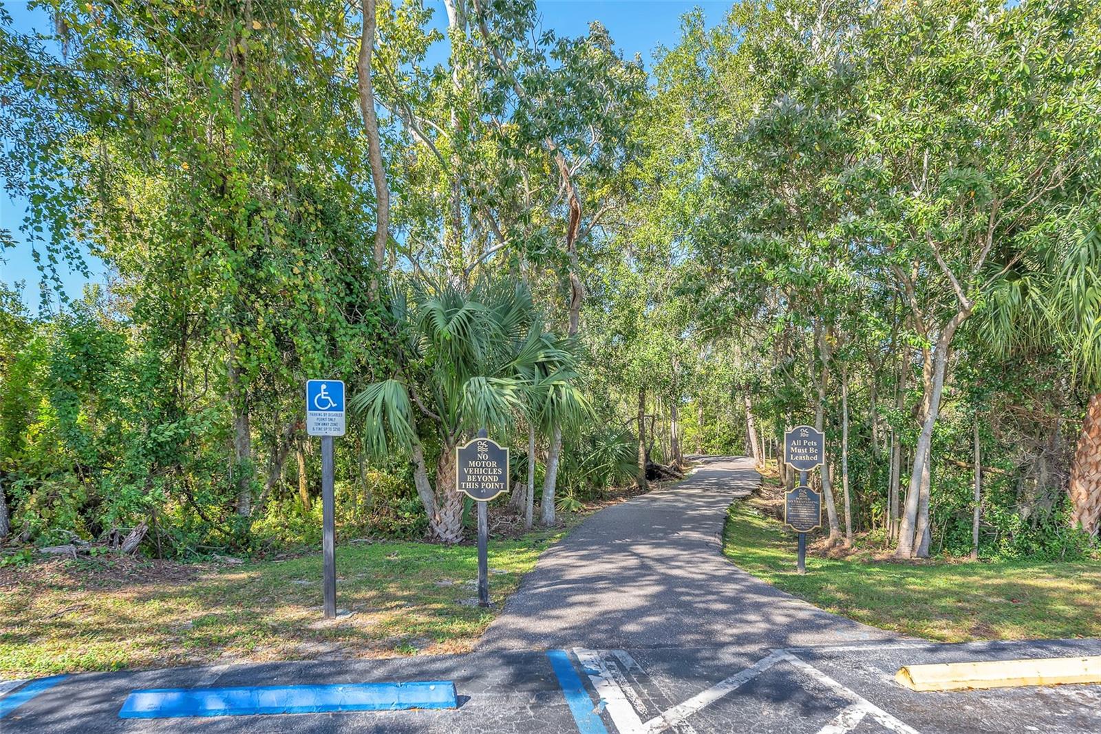 Image 68 of 69 For 1702 Horseshoe Drive