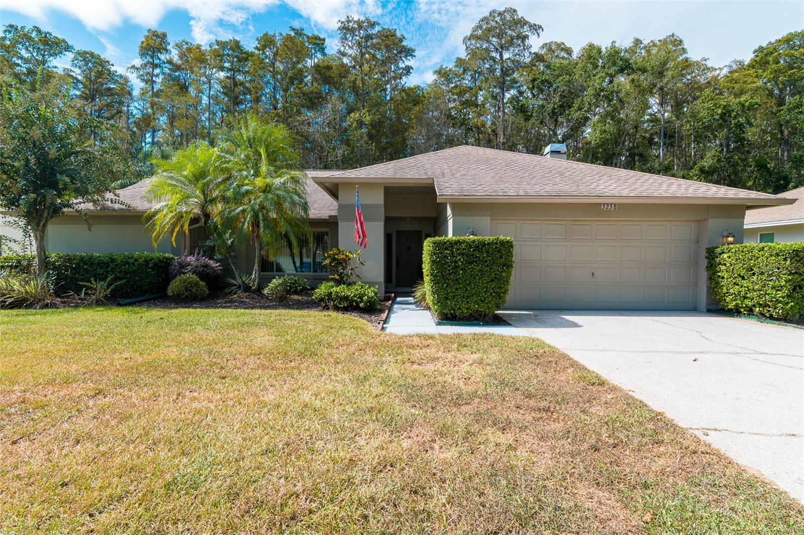 Details for 3238 Glenridge Drive, PALM HARBOR, FL 34685