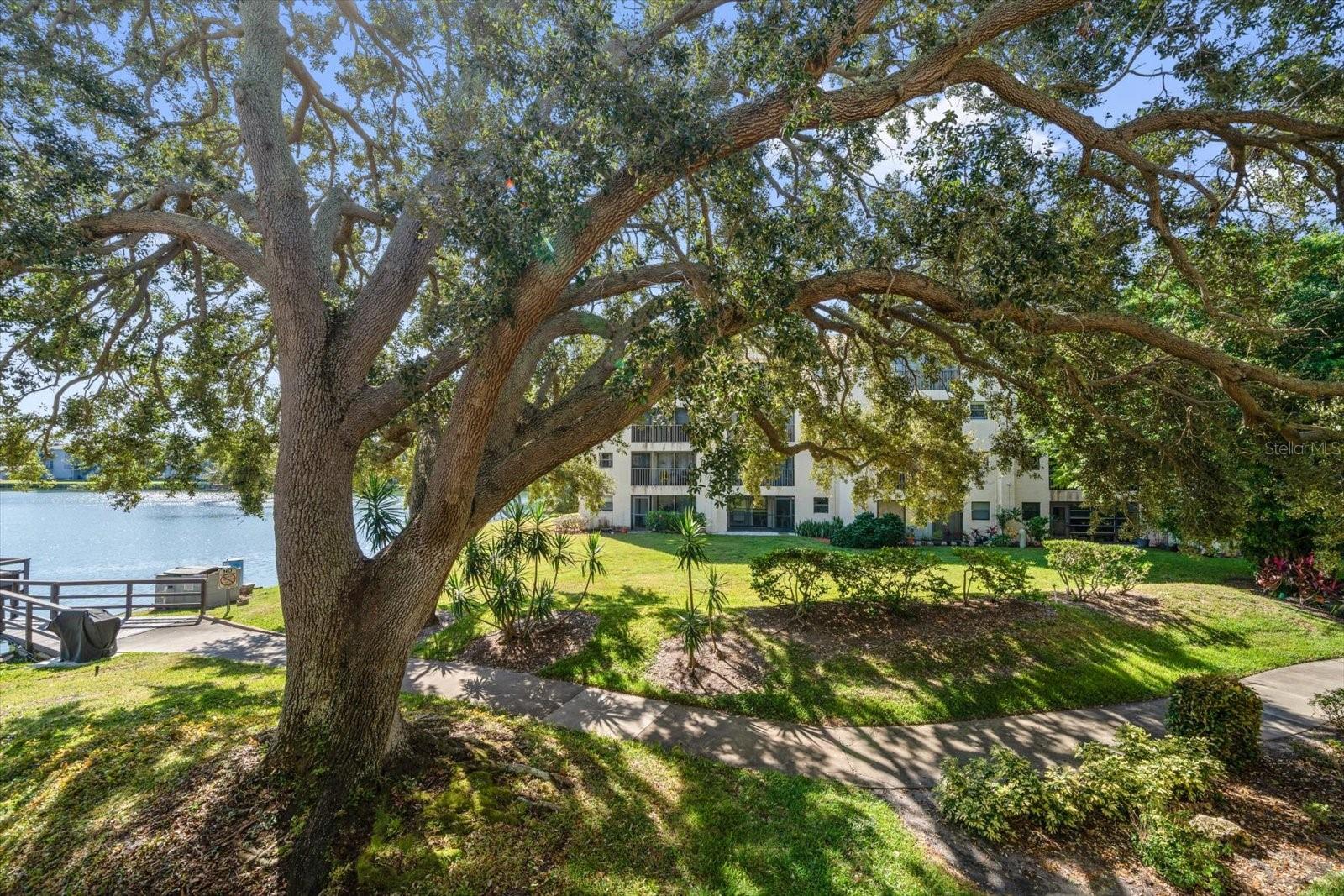 Image 22 of 41 For 11485 Oakhurst Road 1100-206