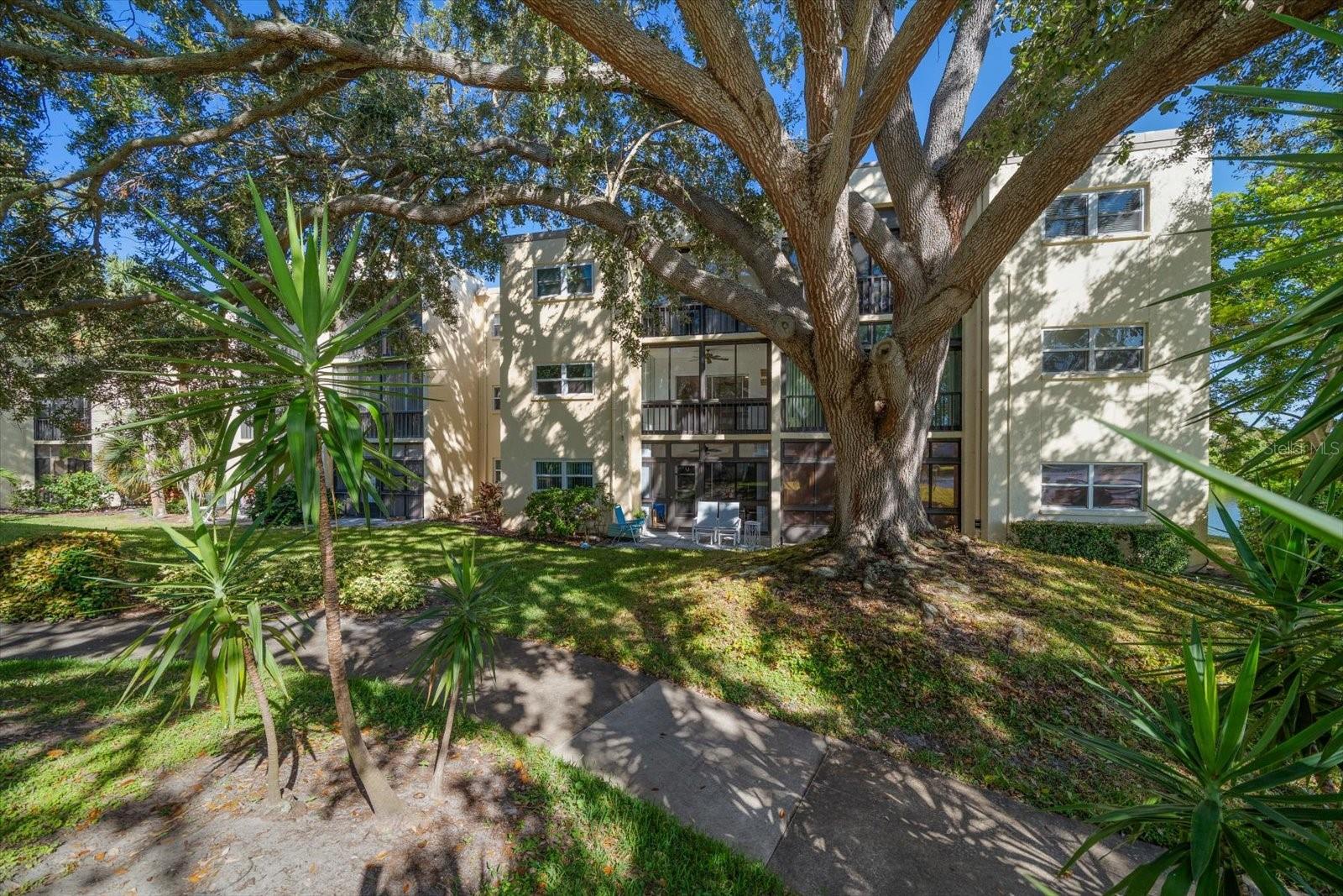 Image 23 of 41 For 11485 Oakhurst Road 1100-206