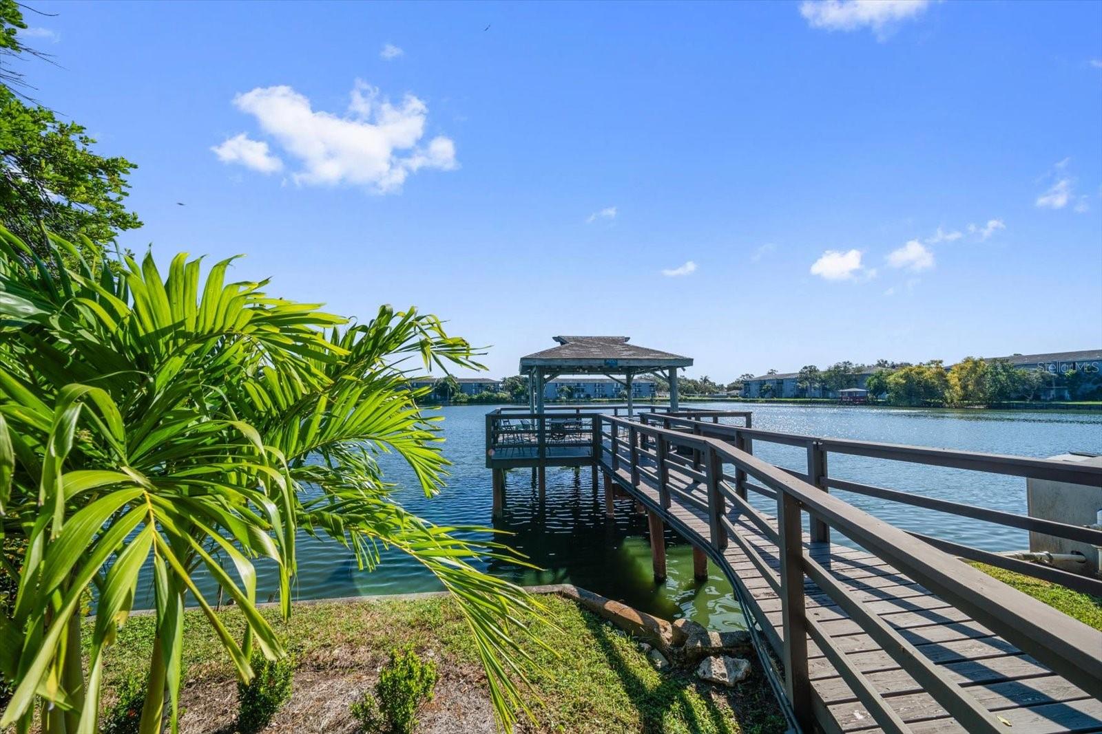 Image 33 of 41 For 11485 Oakhurst Road 1100-206