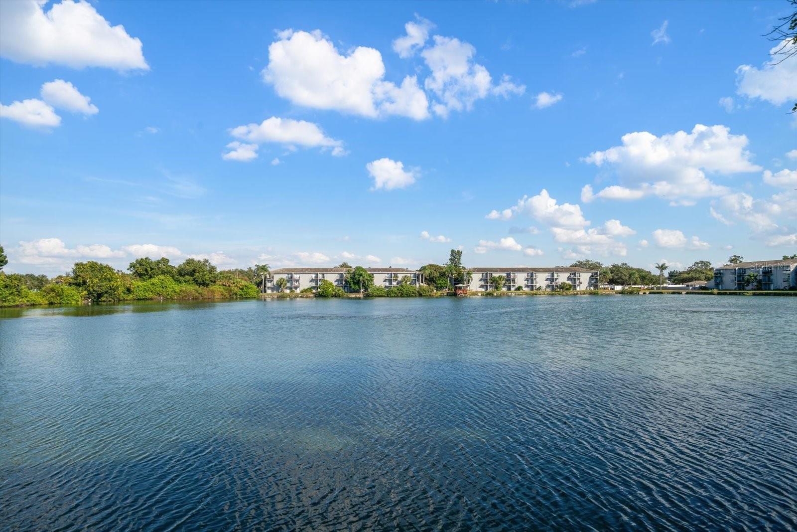 Image 36 of 41 For 11485 Oakhurst Road 1100-206