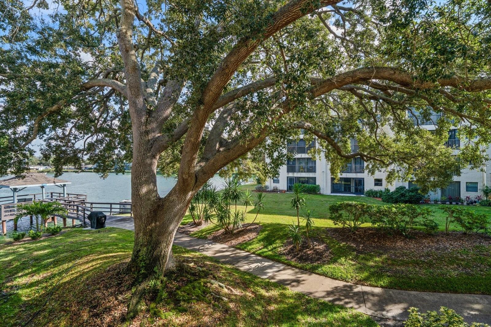 Image 37 of 41 For 11485 Oakhurst Road 1100-206