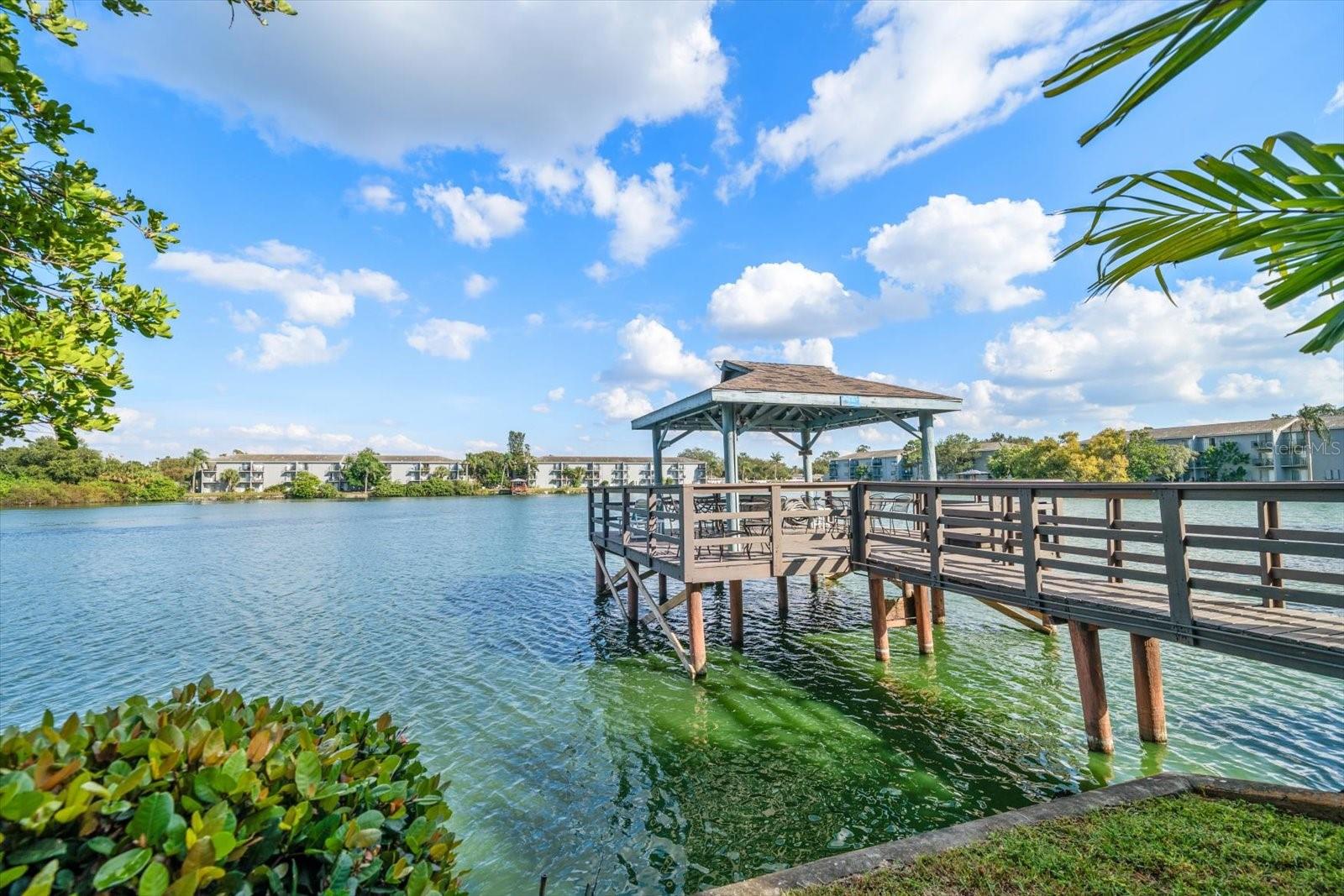 Image 39 of 41 For 11485 Oakhurst Road 1100-206