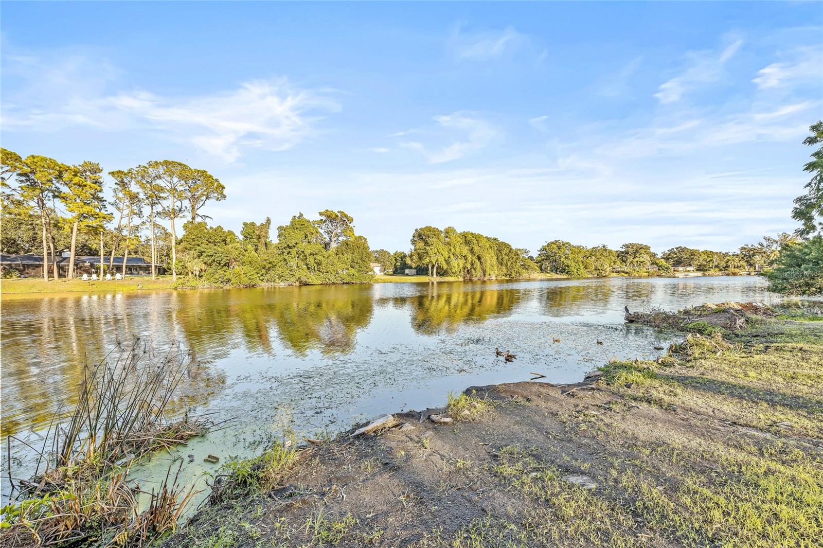 Image 59 of 72 For 2615 Desoto Way S