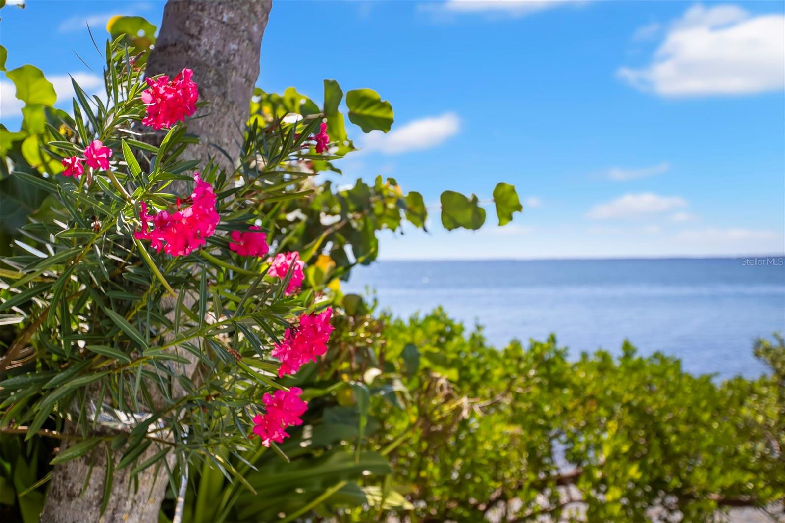 Listing photo id 61 for 6199 54th Street S