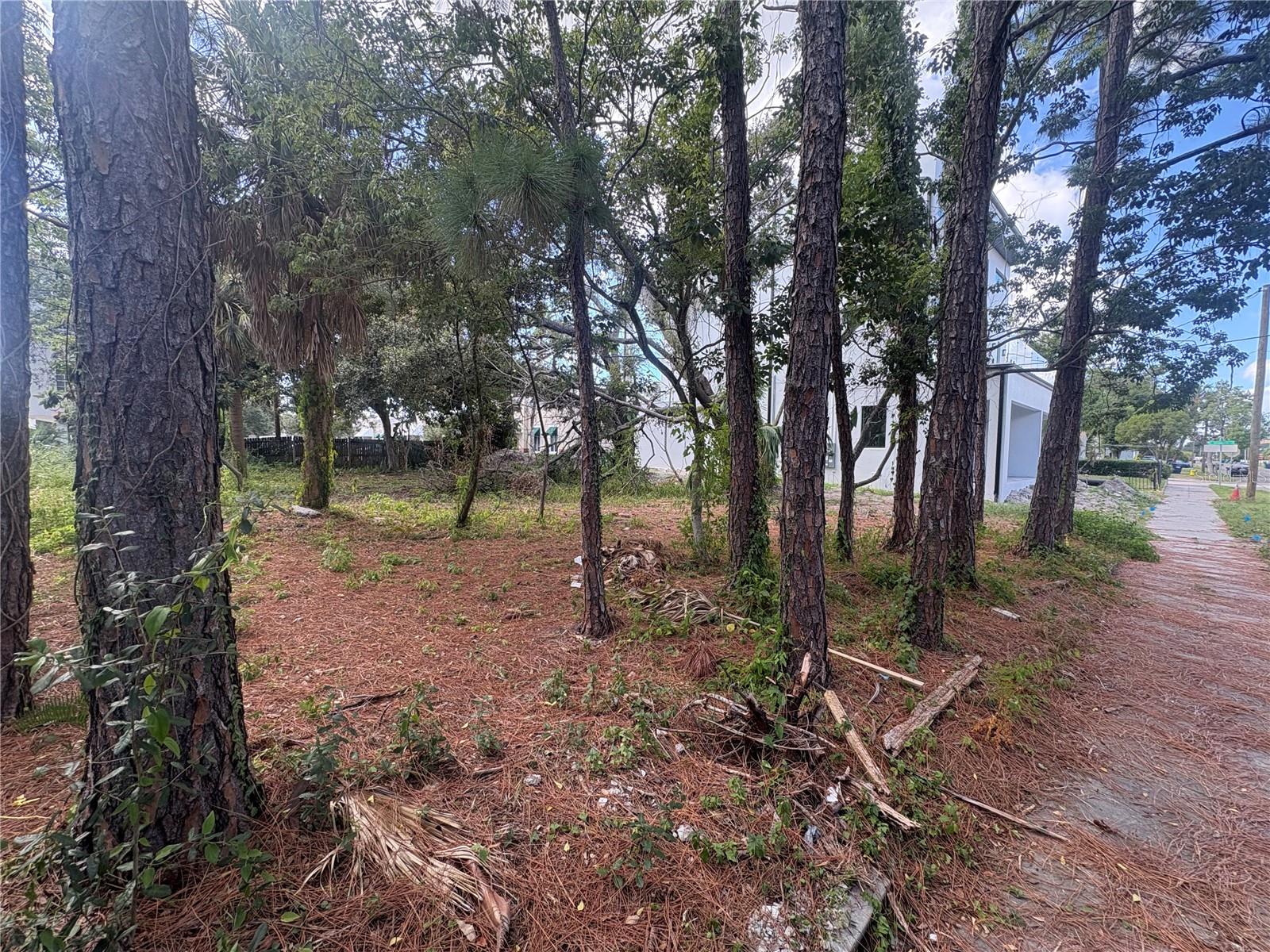 Image 5 of 10 For 2318 North B Street