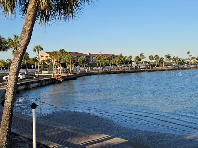 Listing photo id 44 for 4851 Gandy Boulevard B11l38