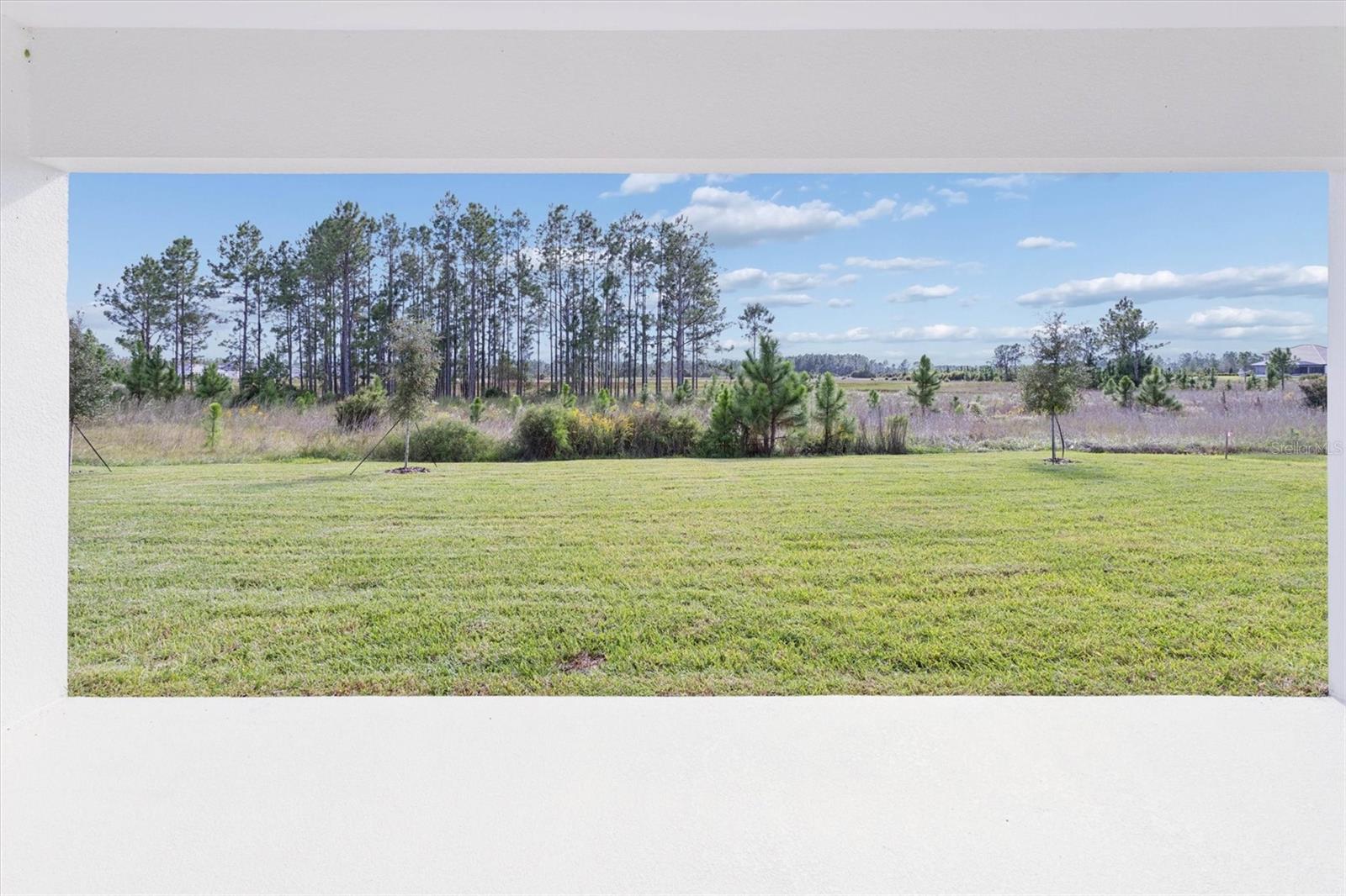 Listing photo id 35 for 35310 Big Hawk Drive