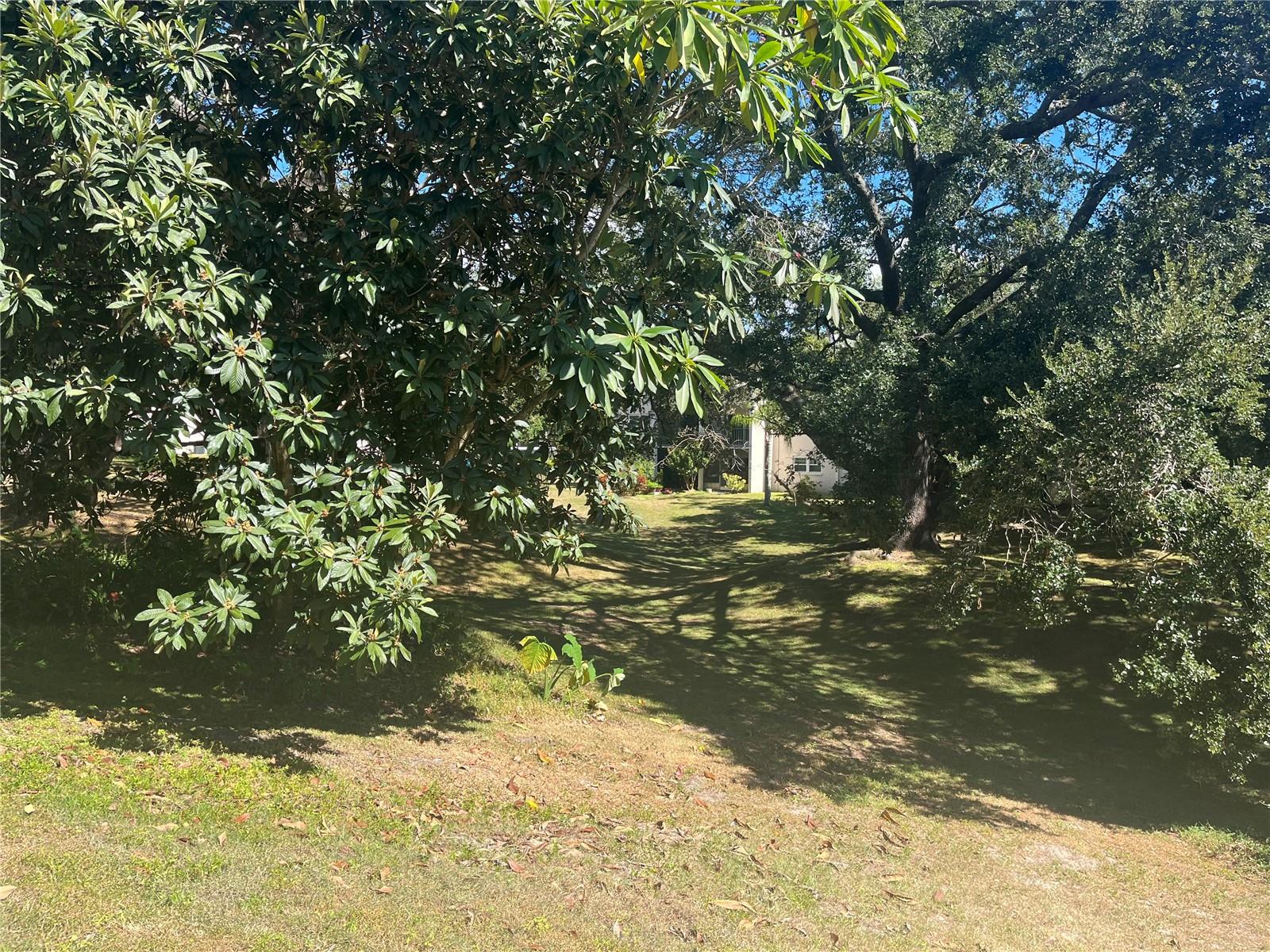 Image 14 of 52 For 840 Virginia Street 108