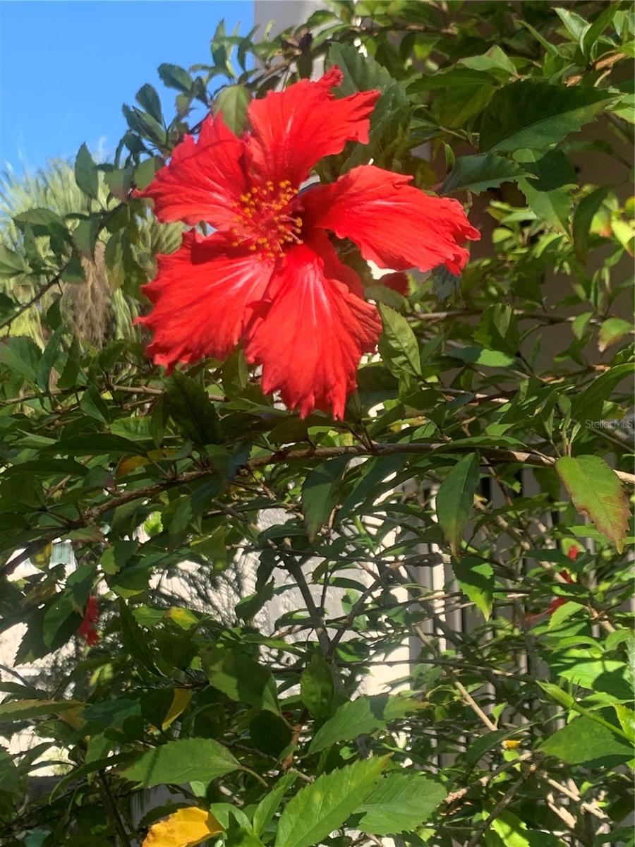 Image 37 of 52 For 840 Virginia Street 108