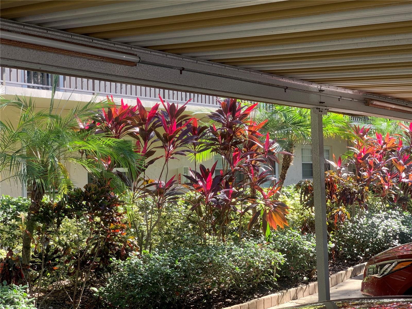 Image 38 of 52 For 840 Virginia Street 108