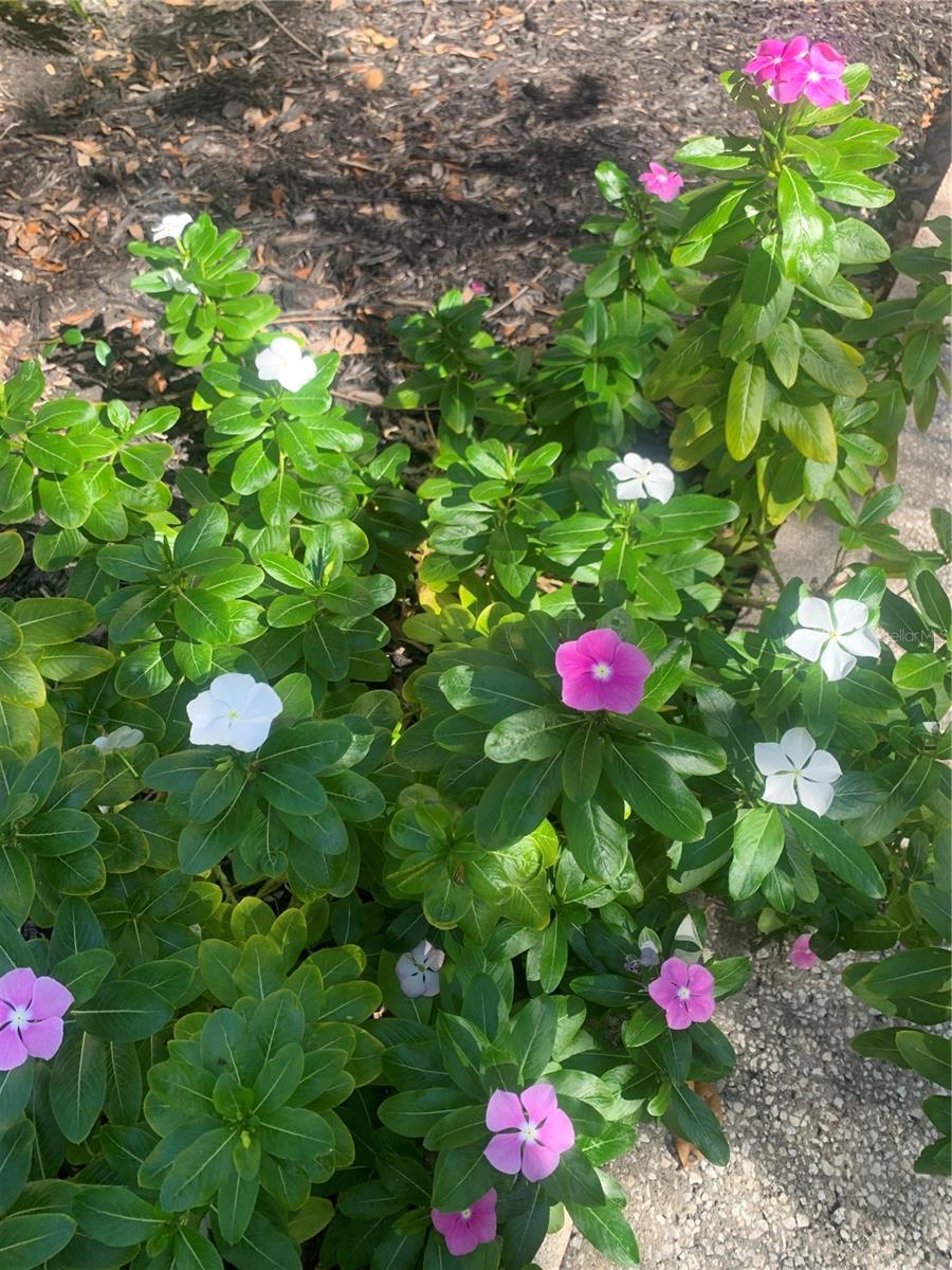 Image 42 of 52 For 840 Virginia Street 108