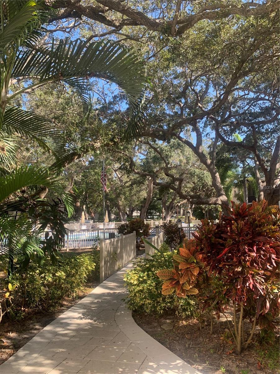 Image 43 of 52 For 840 Virginia Street 108