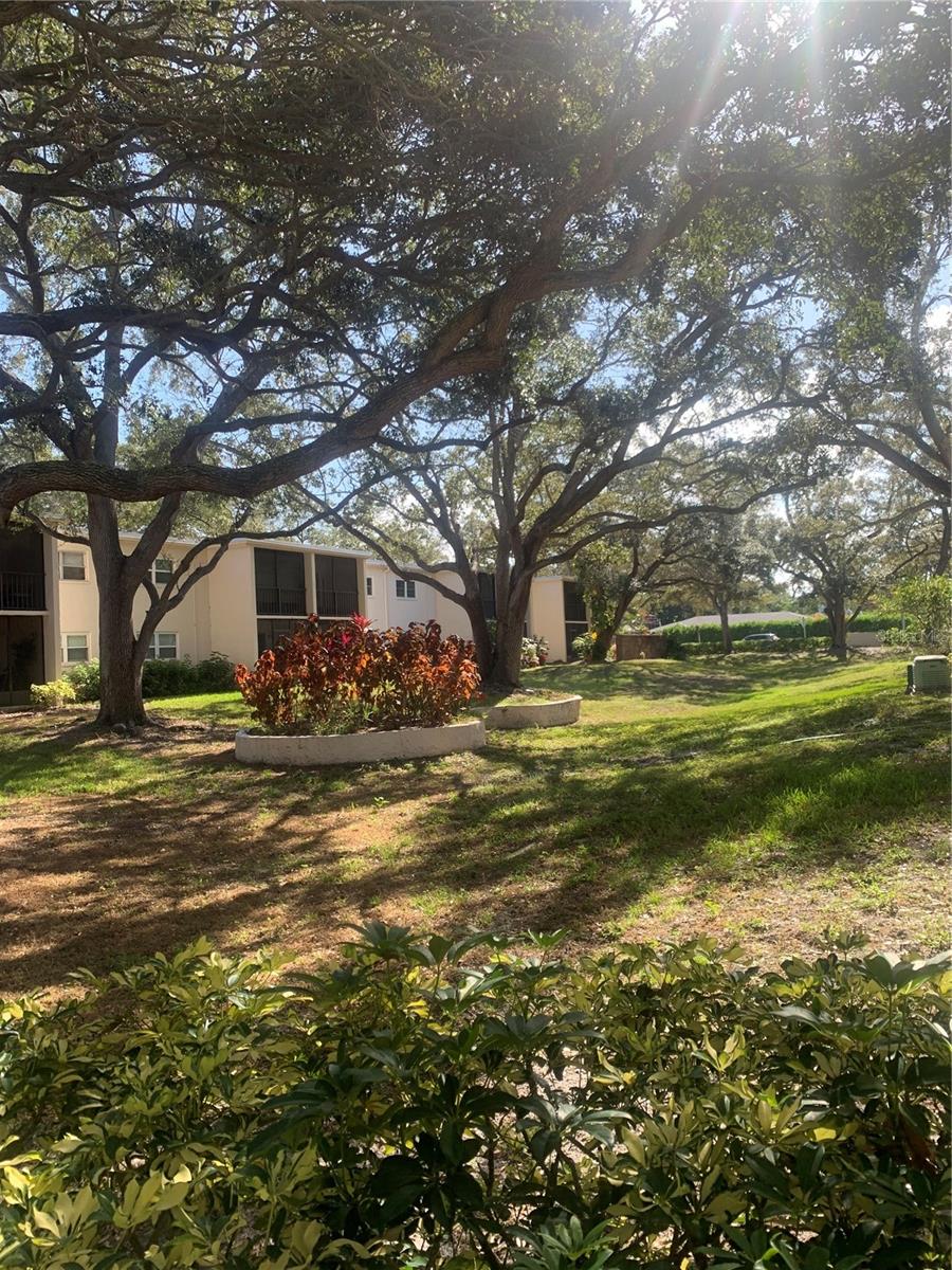 Image 44 of 52 For 840 Virginia Street 108