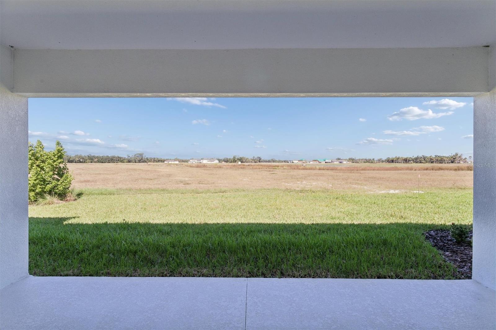 Image 43 of 44 For 10739 Spring Sapling Circle