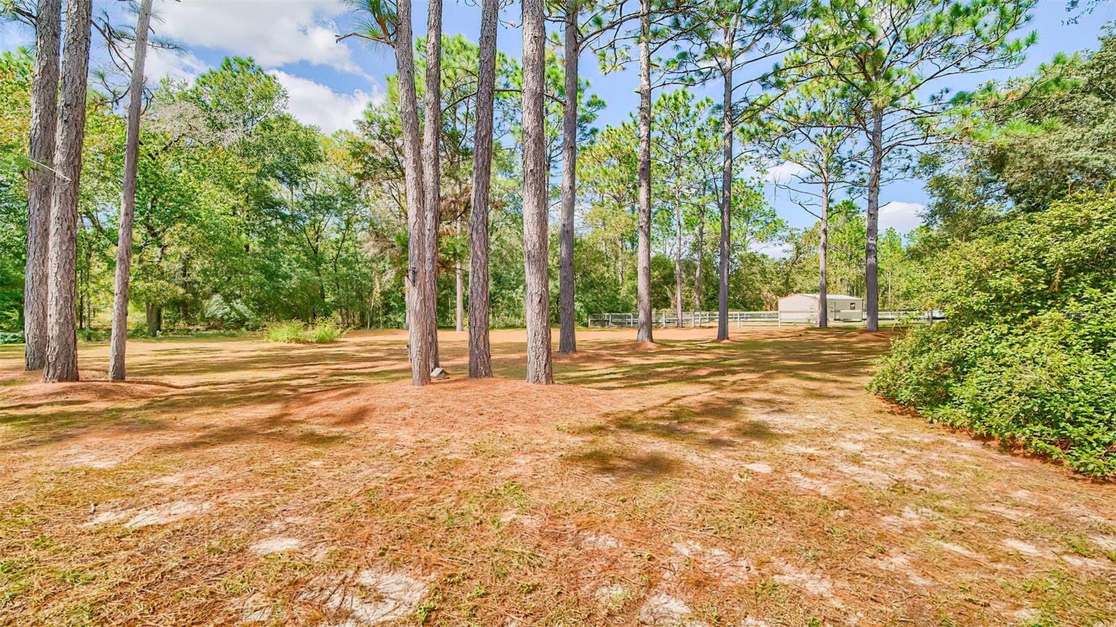 Image 43 of 49 For 610 151st Terrace