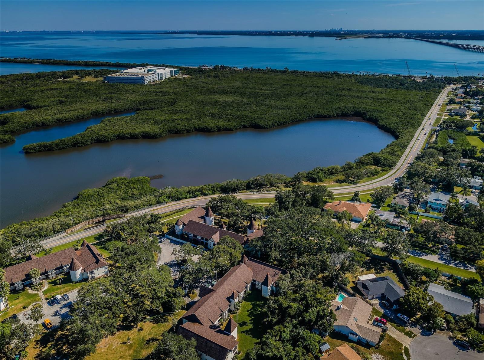 Image 28 of 49 For 230 Bayshore Boulevard 208