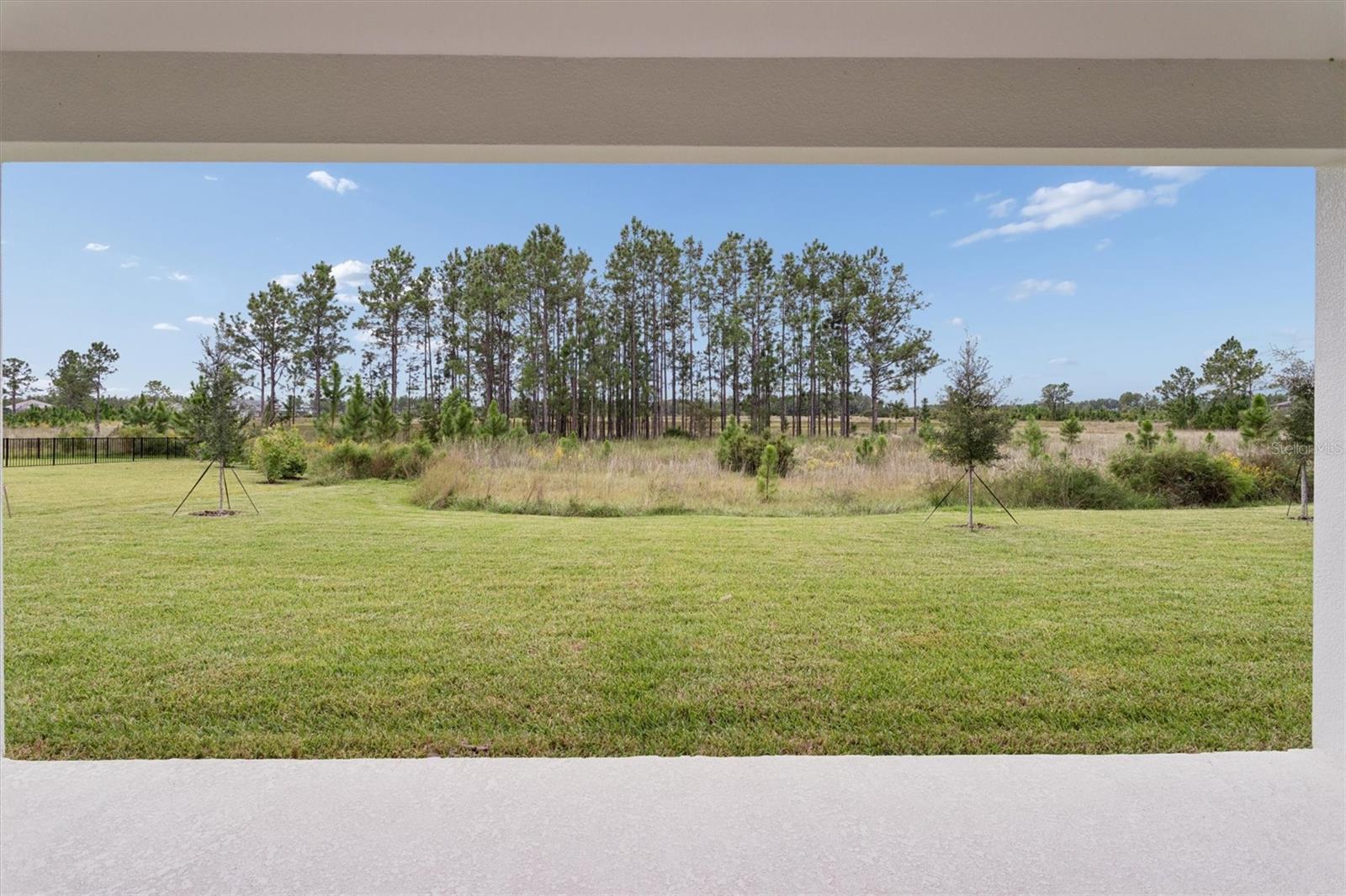 Listing photo id 36 for 35326 Big Hawk Drive