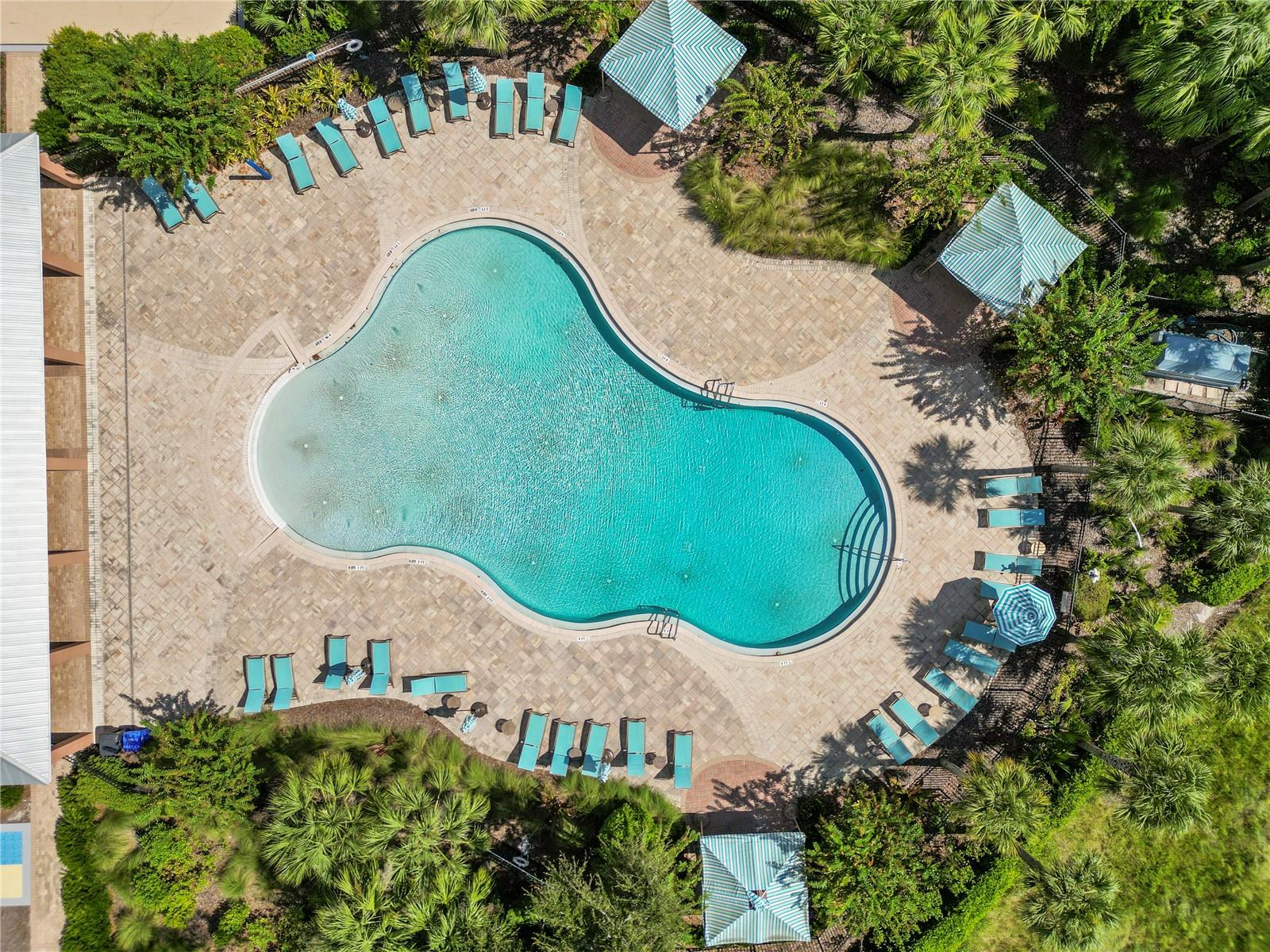 Image 43 of 48 For 13917 Roseate Tern Lane