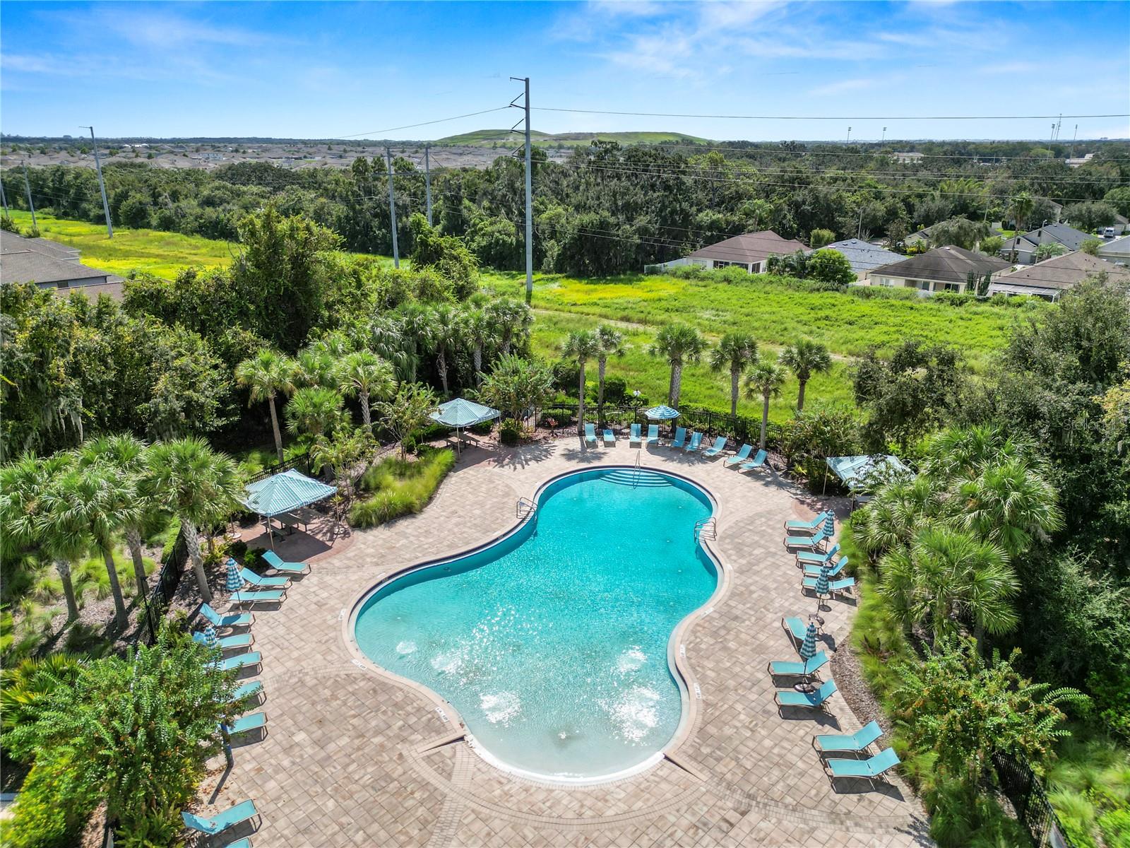 Image 44 of 48 For 13917 Roseate Tern Lane