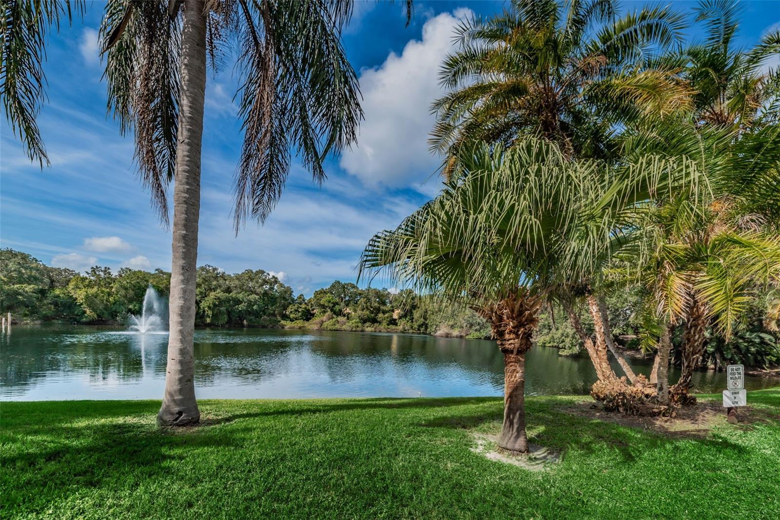 Image 34 of 43 For 2734 5th Court