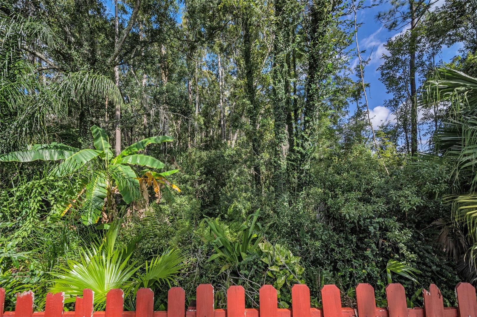 Image 52 of 60 For 3351 Jadewood Circle