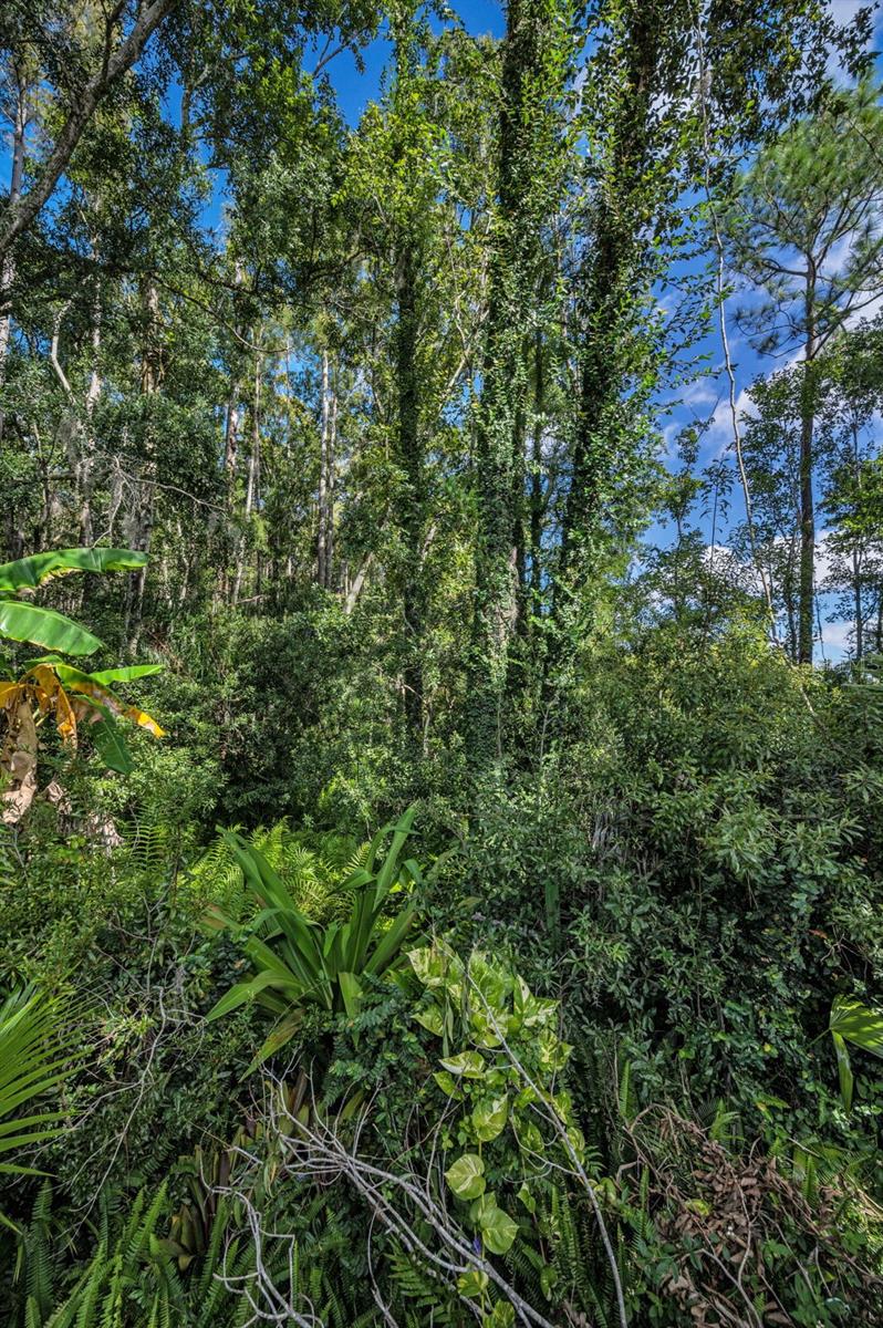 Image 53 of 60 For 3351 Jadewood Circle