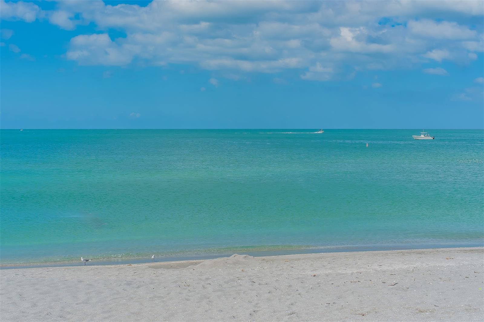Image 84 of 93 For 491 Daylily Boulevard