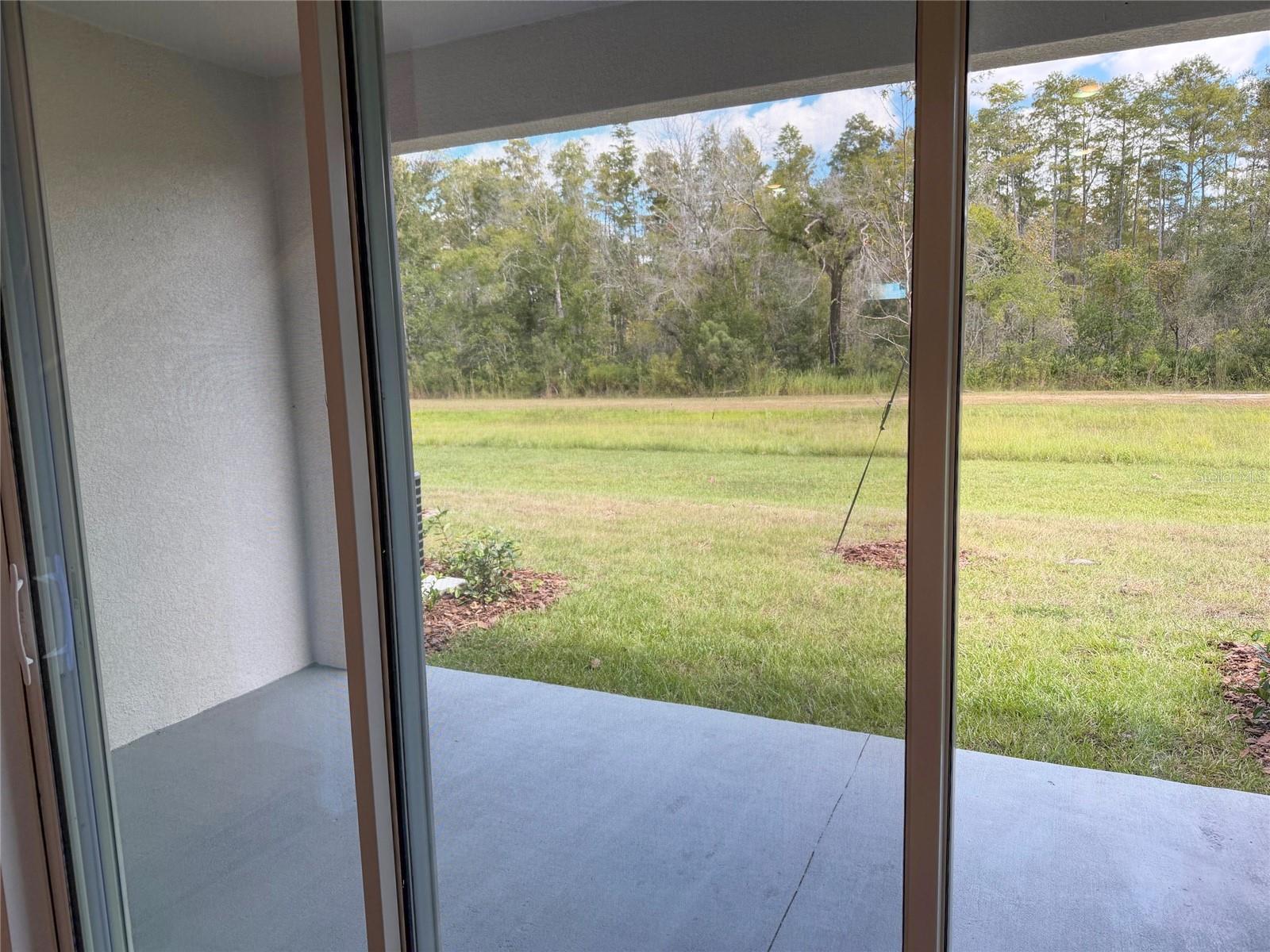 Image 25 of 65 For 11372 Velvet Apricot Drive