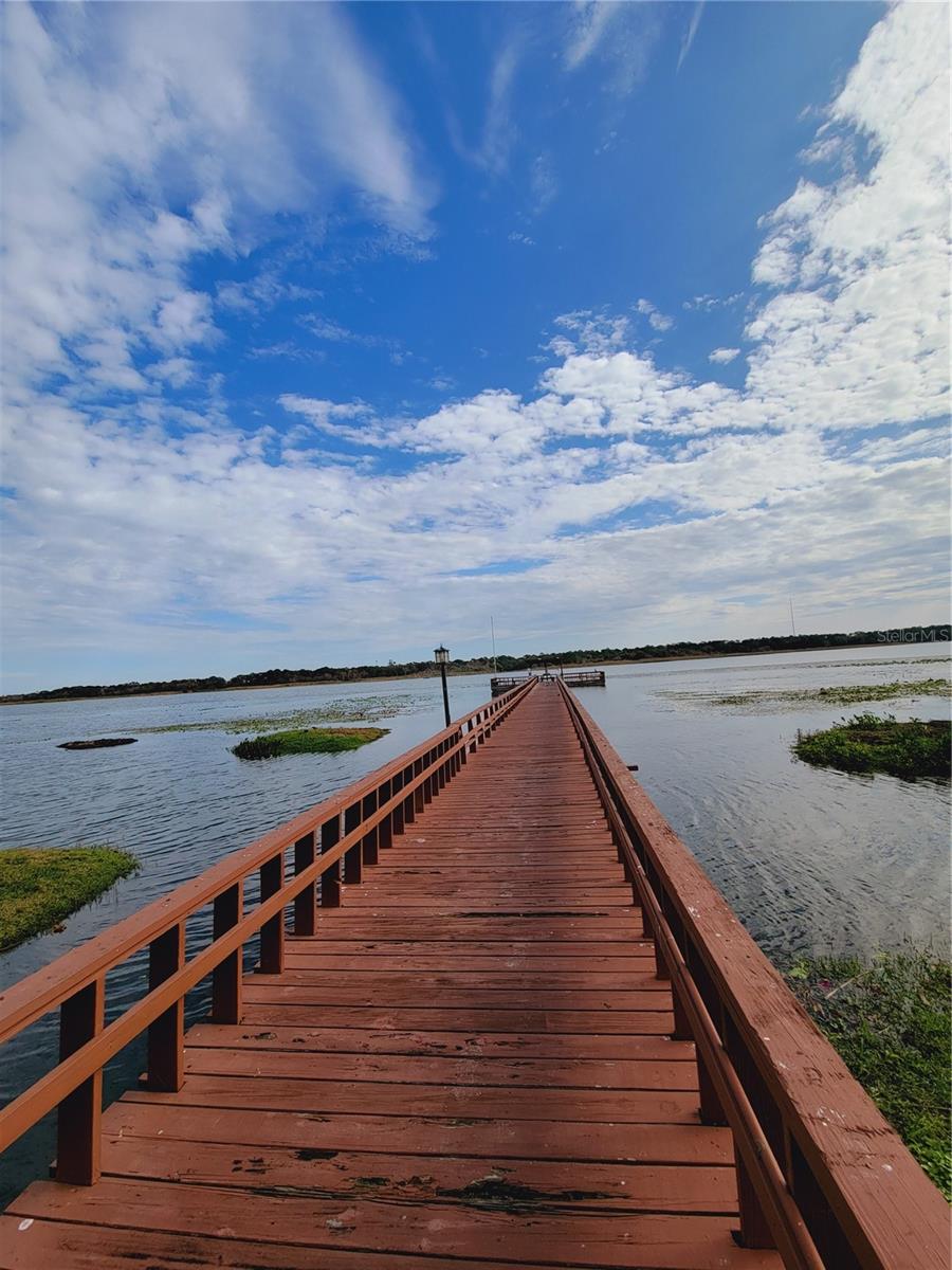 Image 28 of 33 For 9209 Seminole Boulevard 42