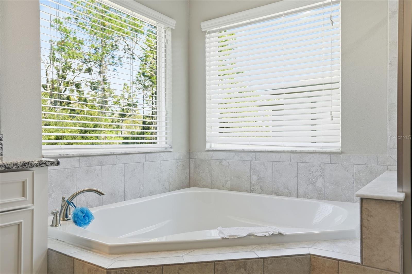 Listing photo id 30 for 18313 Porfirio Place