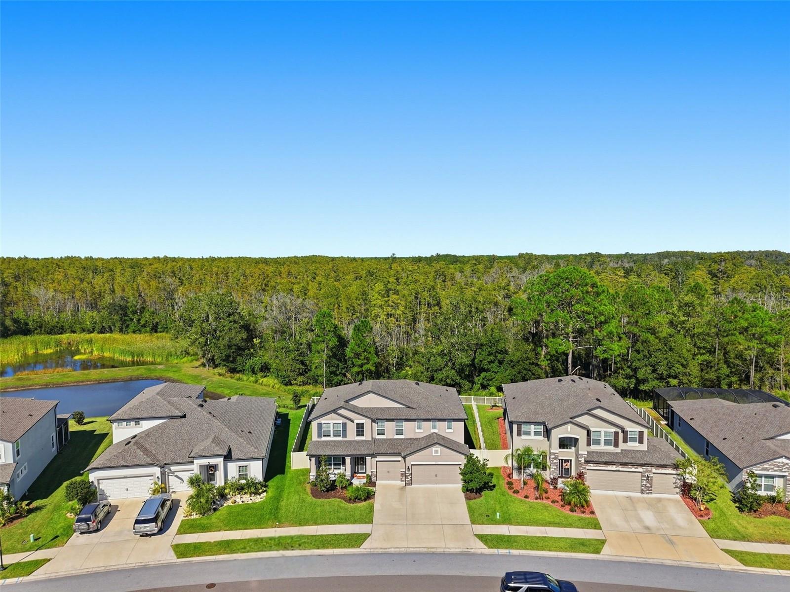 Listing photo id 45 for 18313 Porfirio Place