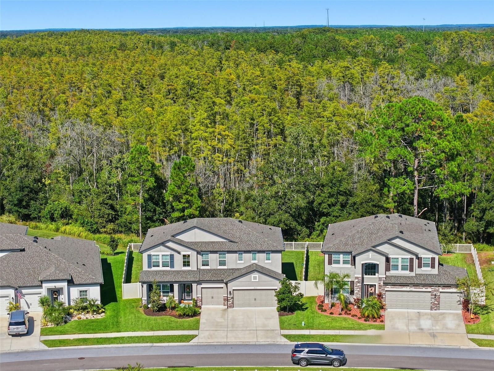 Listing photo id 46 for 18313 Porfirio Place