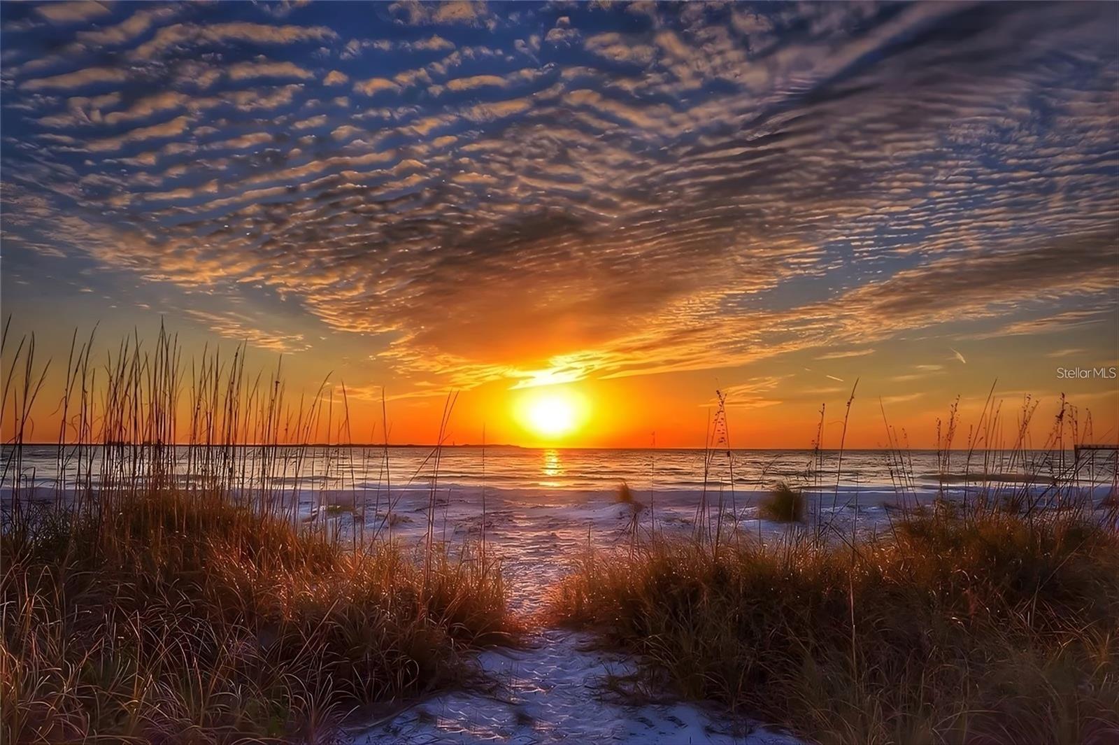 Image 80 of 81 For 200 121st Avenue 104