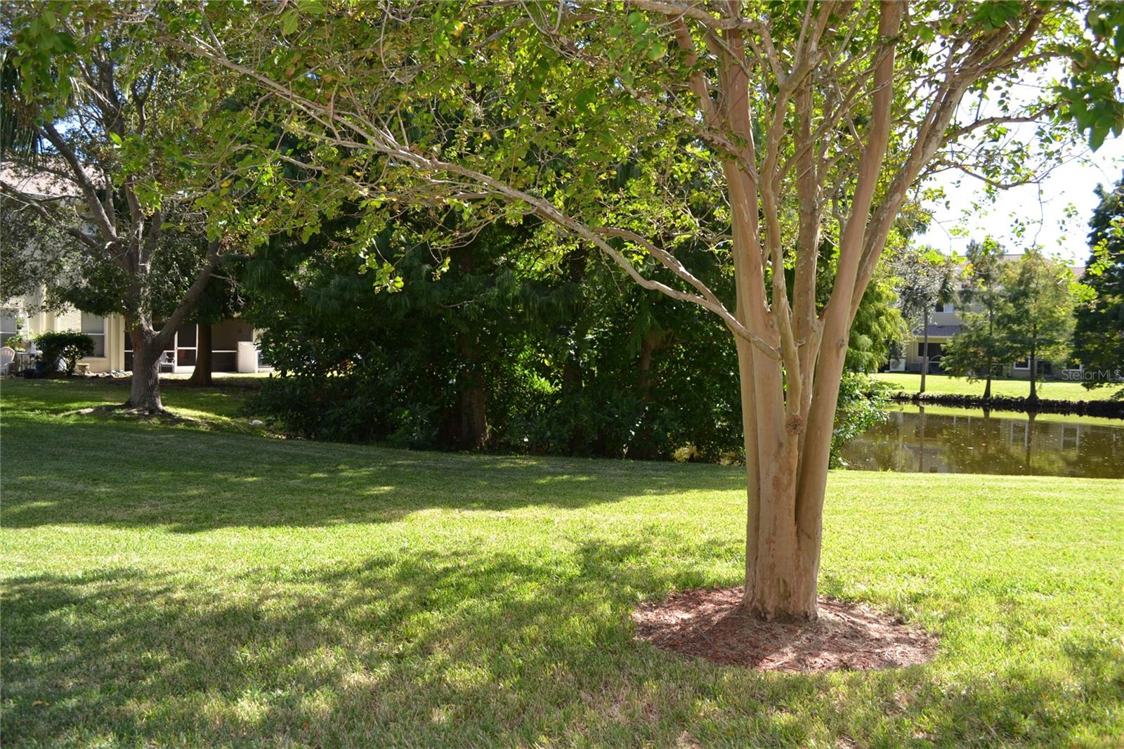 Image 24 of 68 For 11135 Kapok Grand Circle