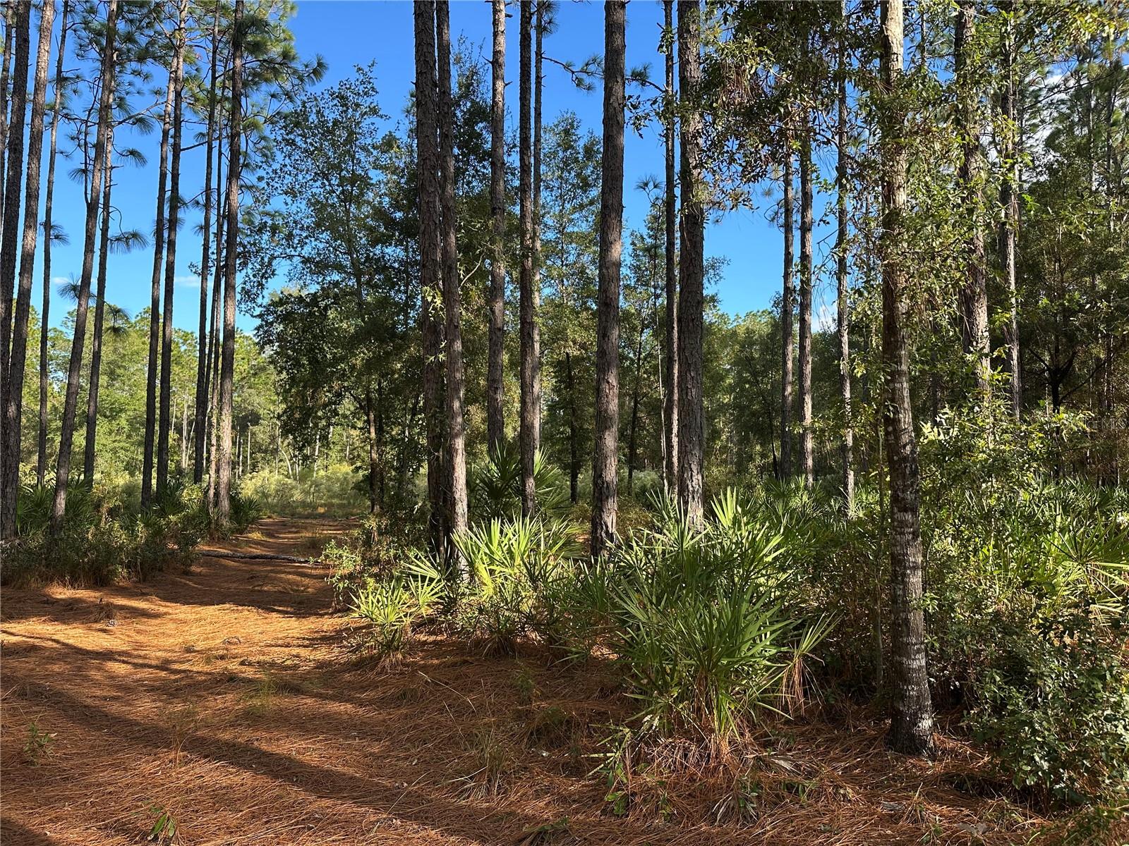 Details for Address Not Provided