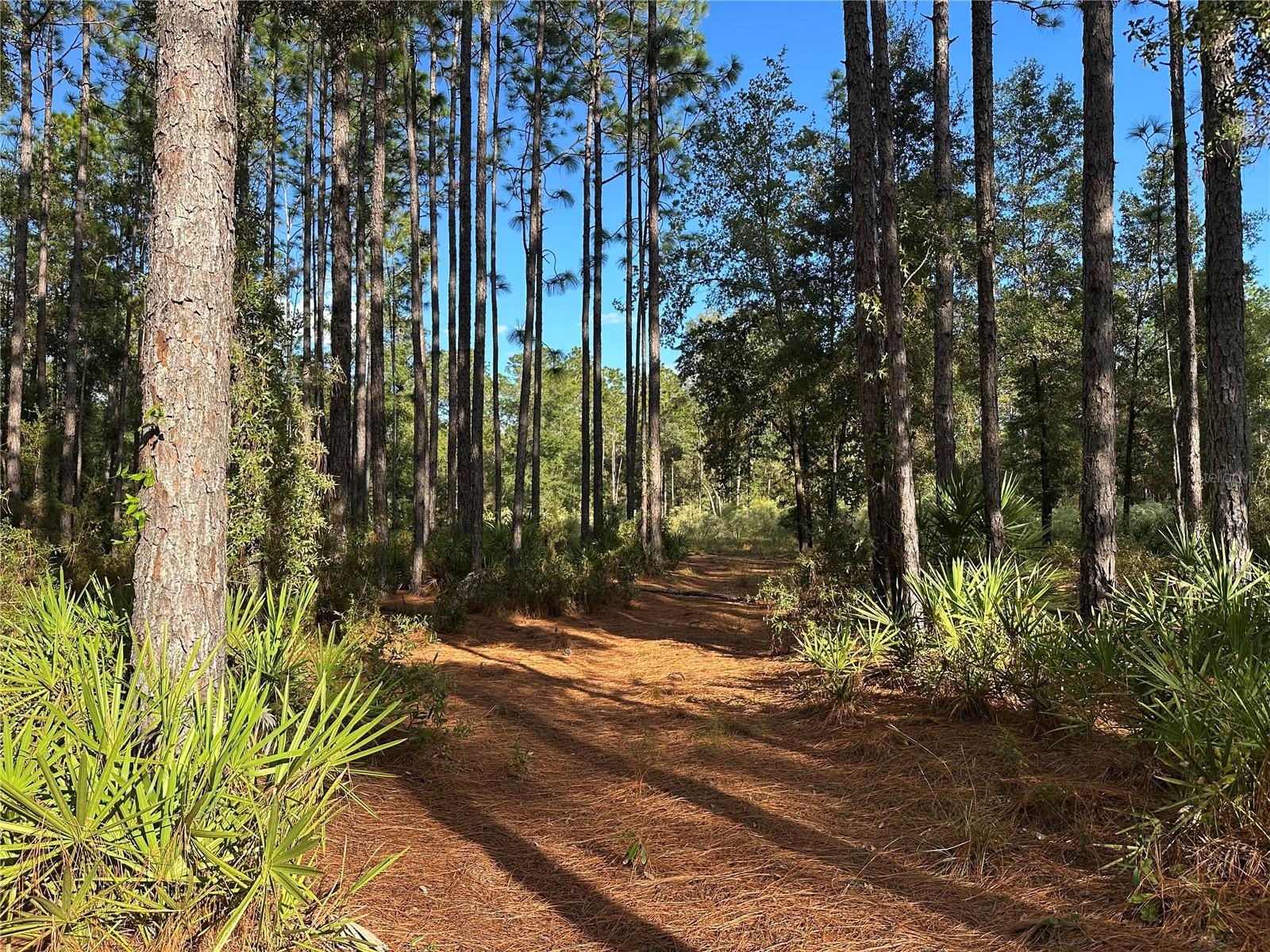 Image 2 of 16 For Address Not Provided