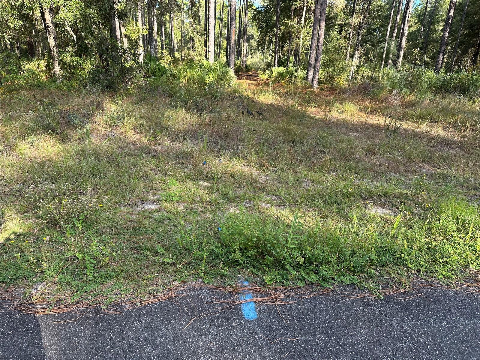 Image 4 of 16 For Address Not Provided