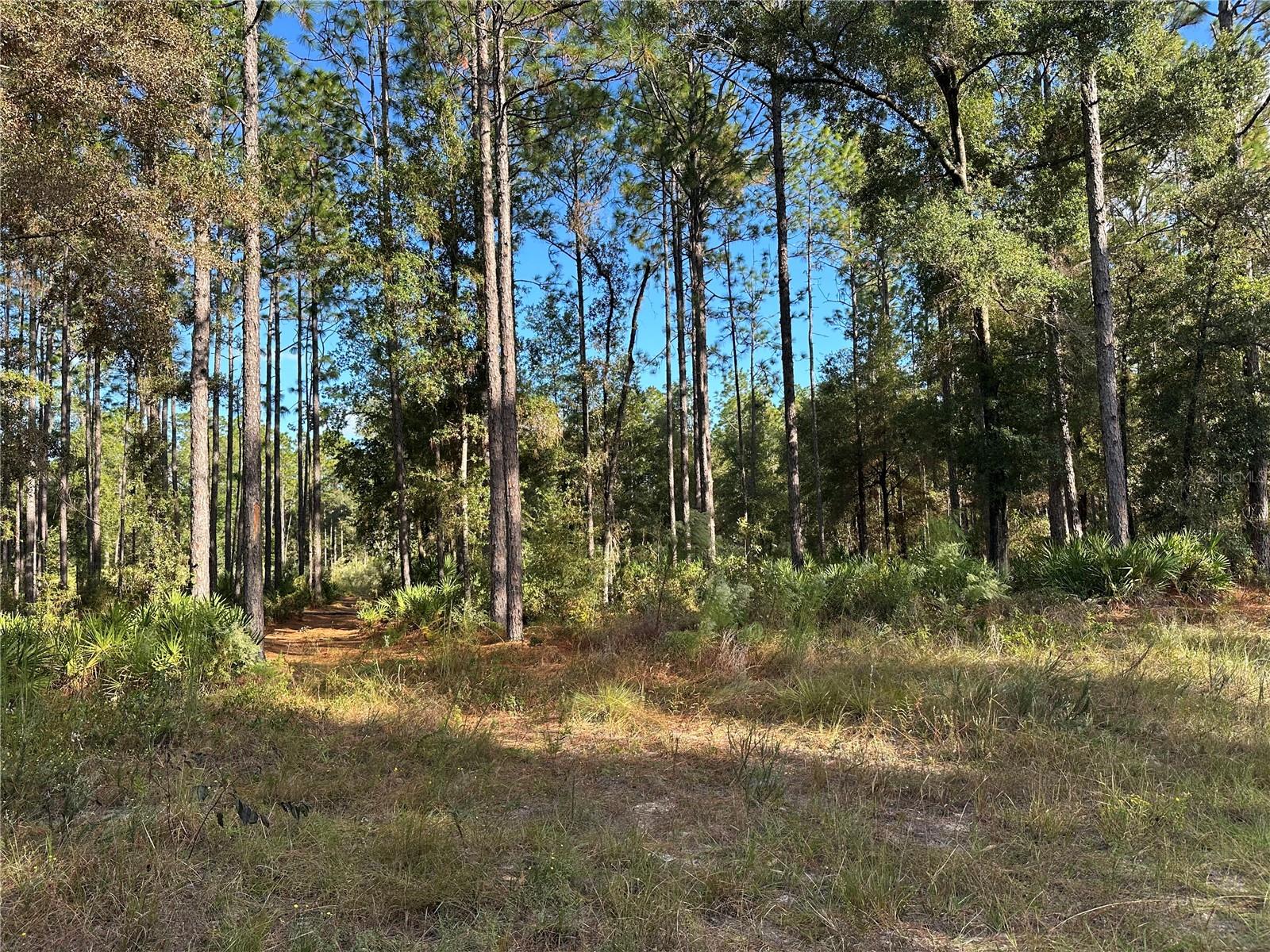 Image 5 of 16 For Address Not Provided