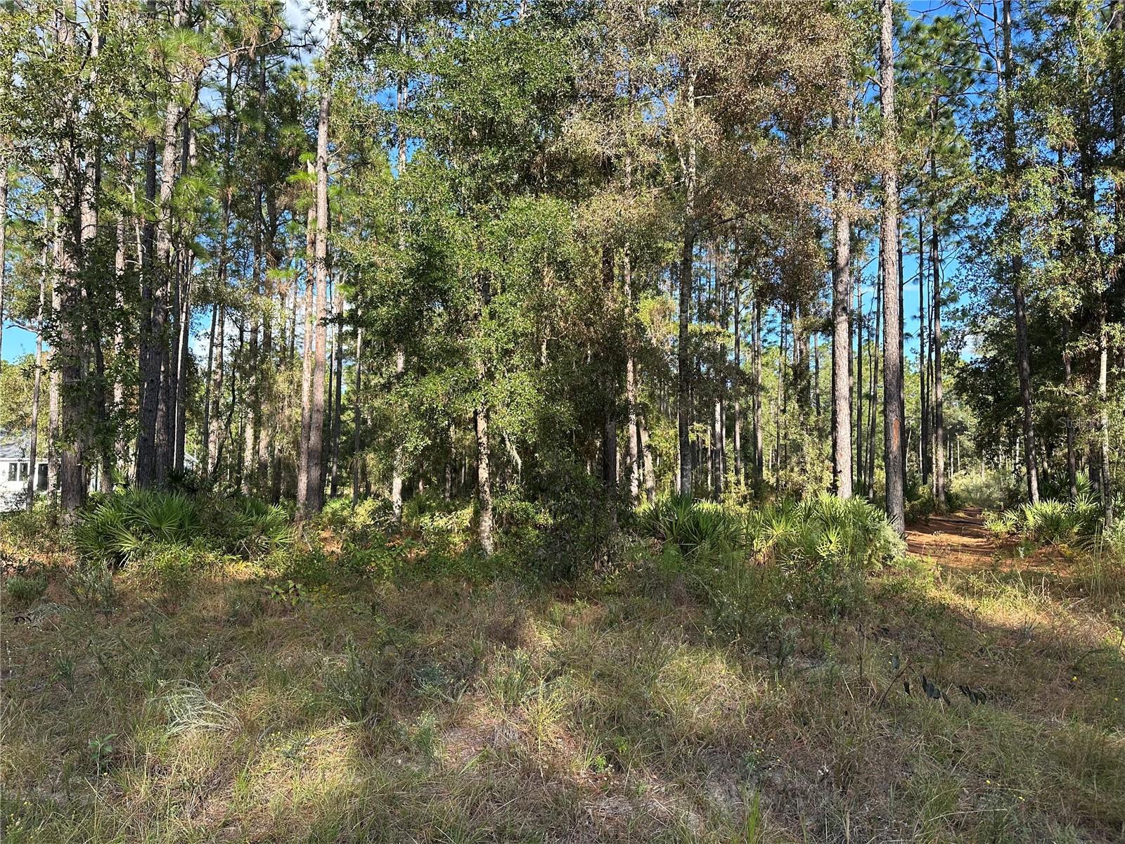 Image 6 of 16 For Address Not Provided