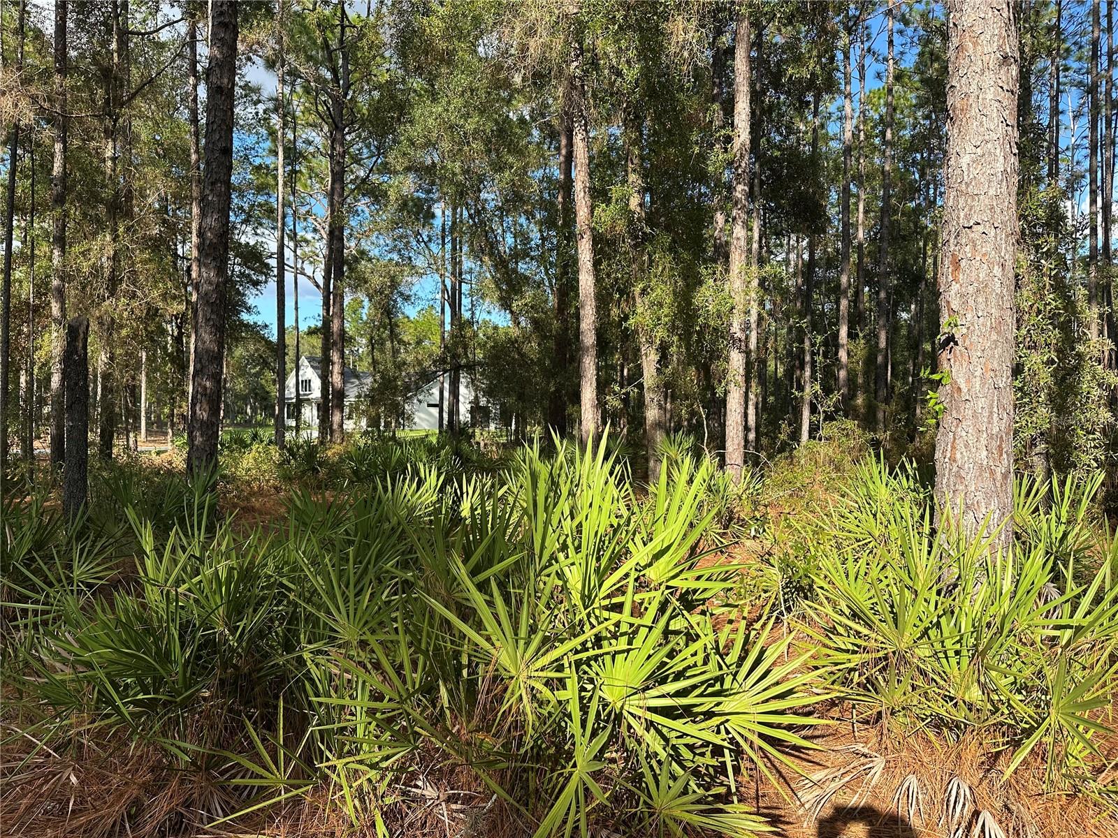 Image 7 of 16 For Address Not Provided