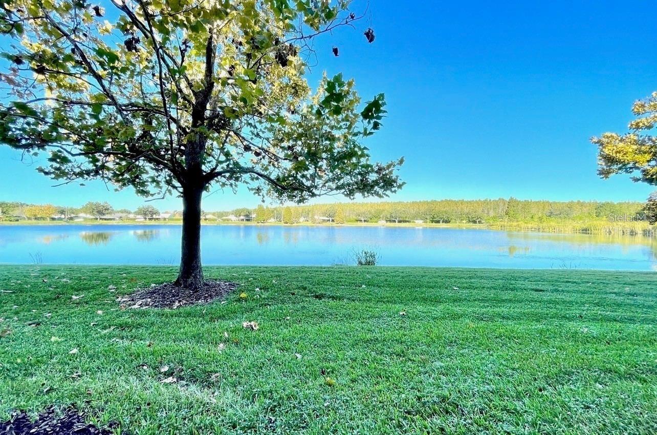 Image 25 of 28 For 18106 Peregrines Perch Place 5209
