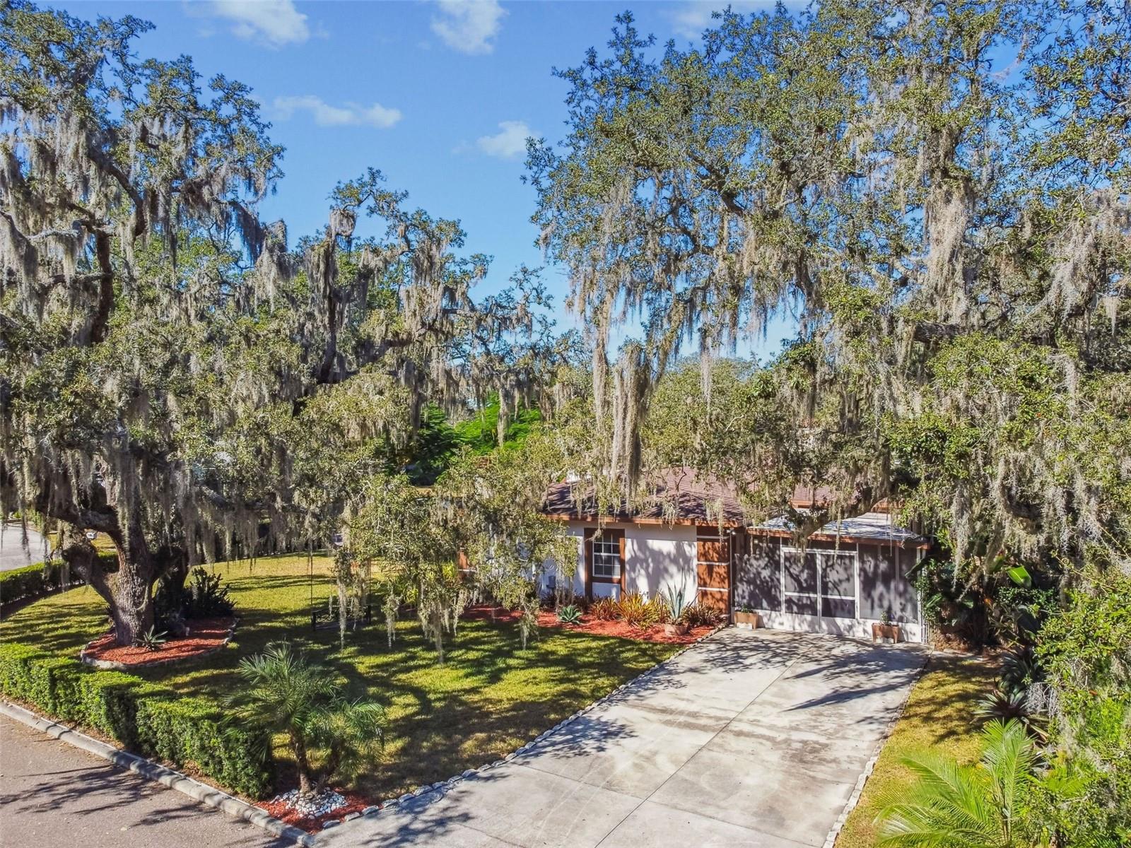 Listing photo id 50 for 207 Willowick Avenue