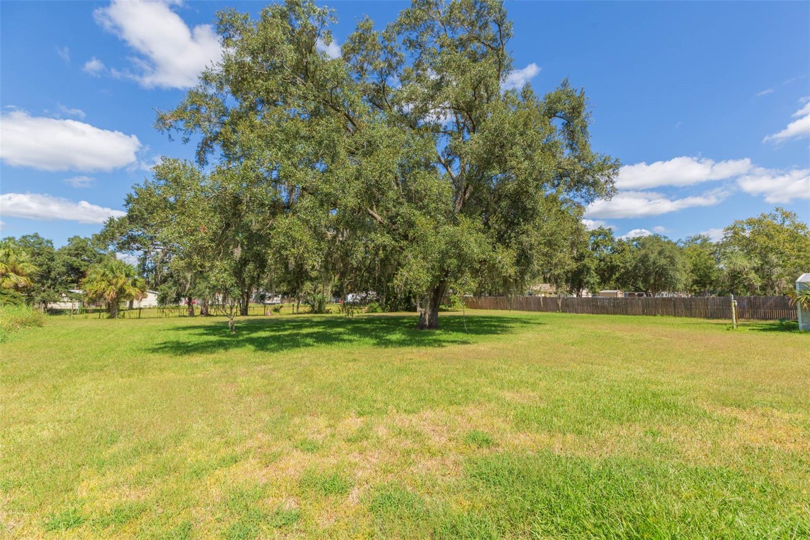 Listing photo id 27 for 11228 Marlborough Drive